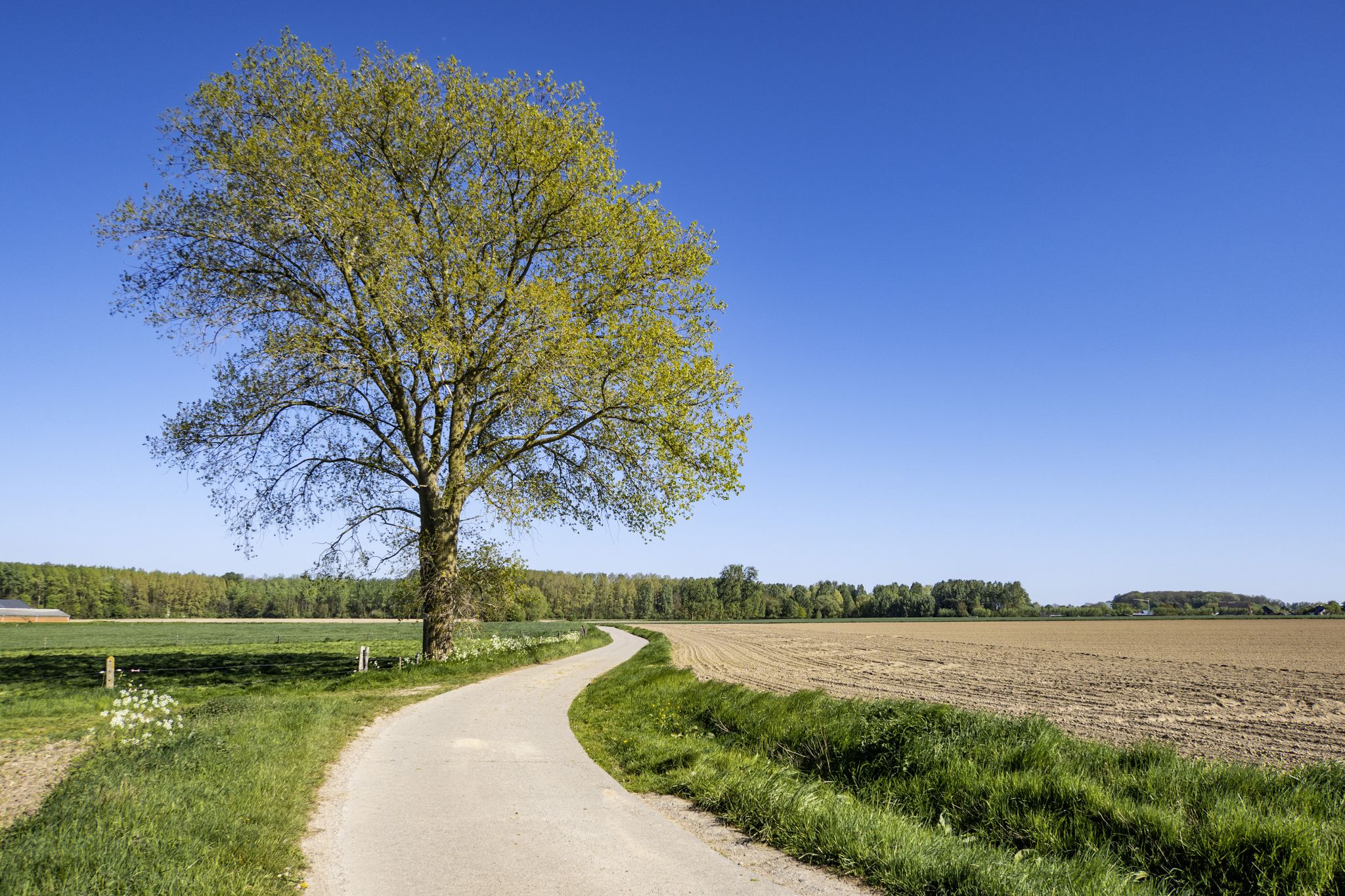 Richting Scheldewindeke