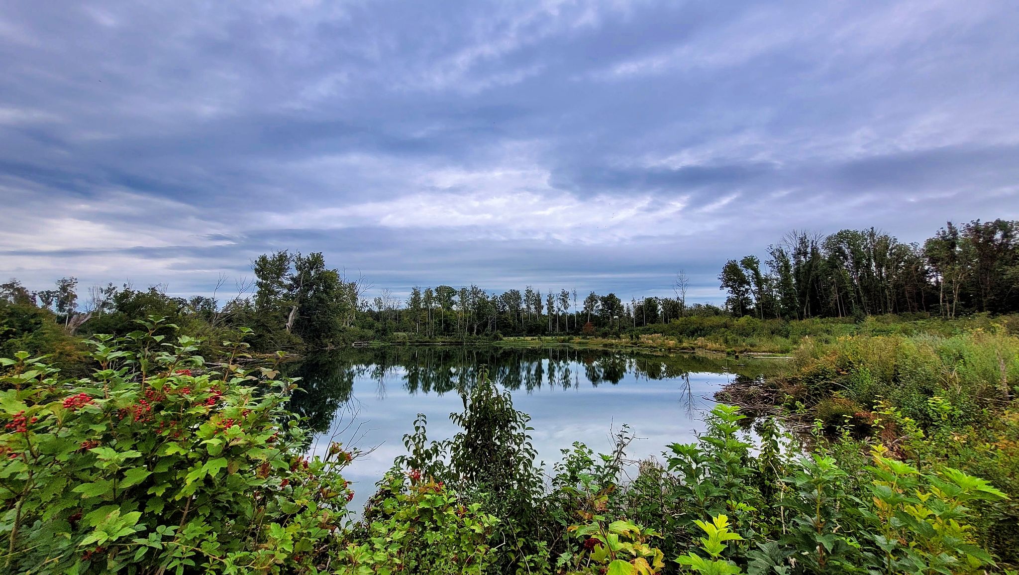 Heute mal Grabesstille am Martiniweiher...nüscht zu sään
