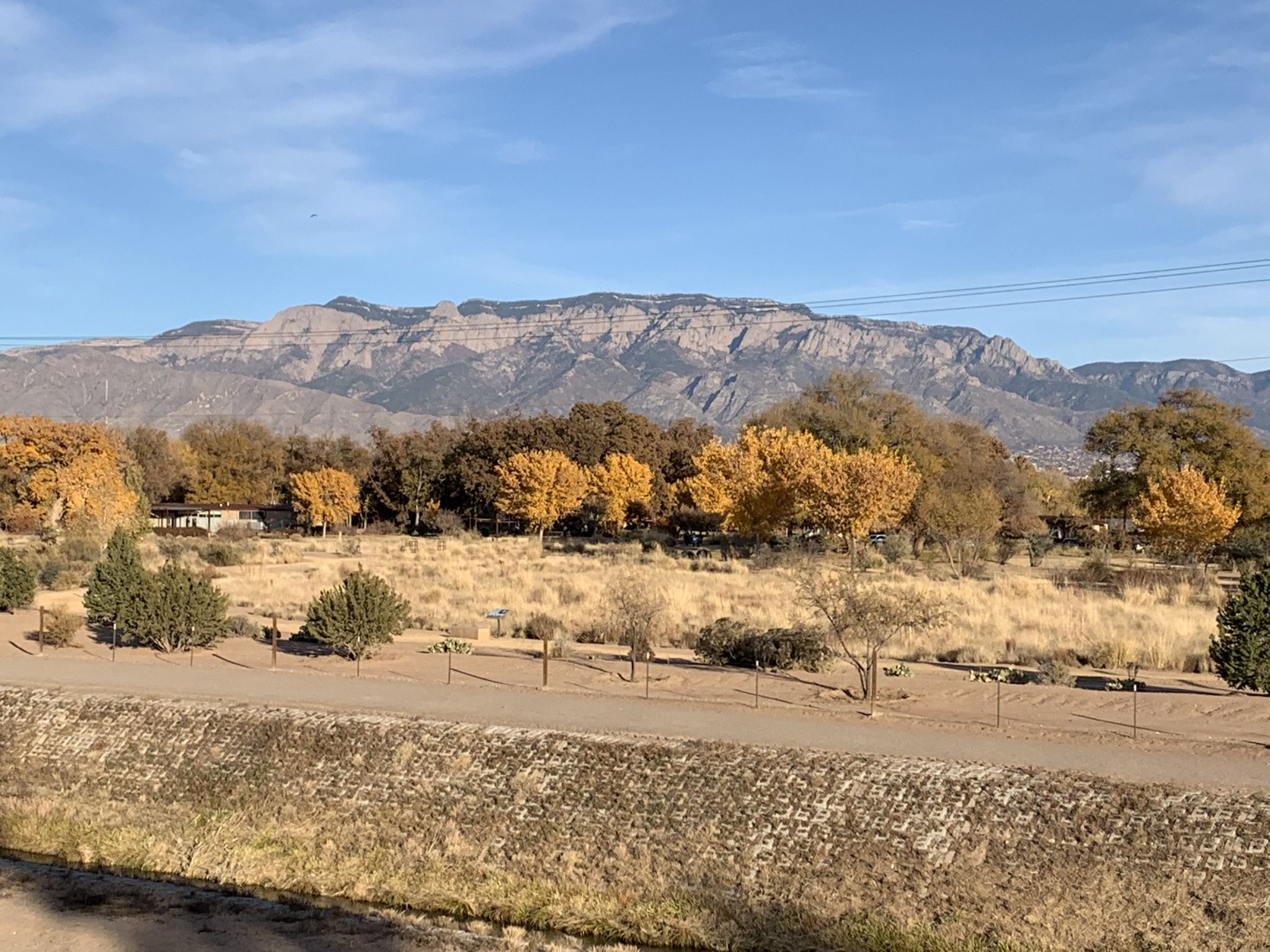 Mountain range overlooks a field with golden autumn trees under a clear sky. - Paseo del Bosque Trail – Paseo del Bosque Trail loop from Valley High School