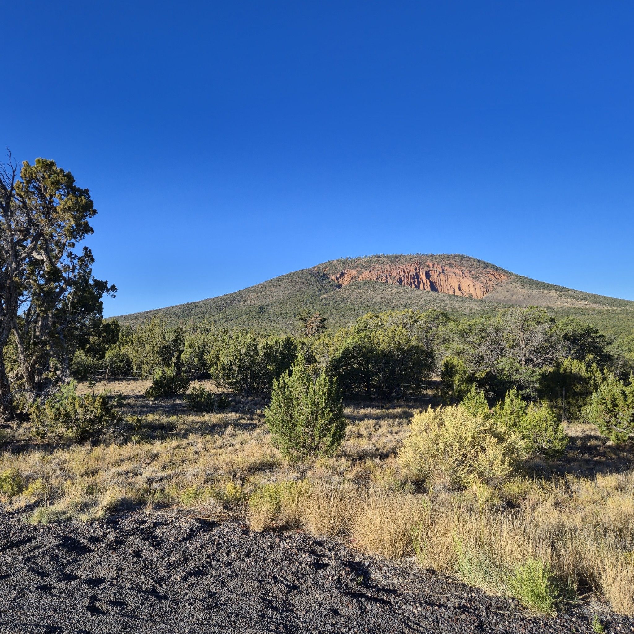 Conical mountain with rocky peak, surrounded by green trees and dry grass under blue sky. - Humphrey's Peak View Picnic Area to Red Mountain Trailhead