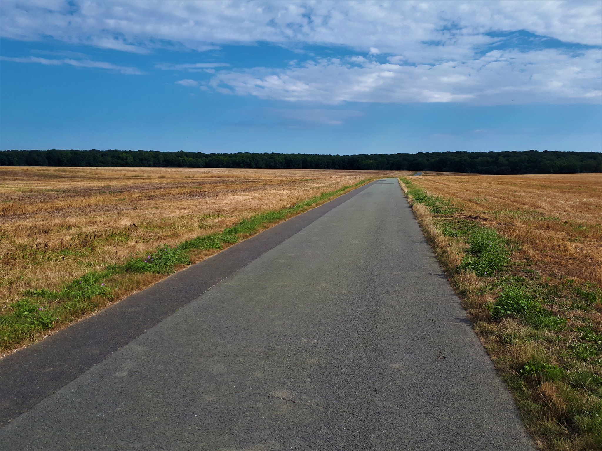 Petite route de campagne très calme