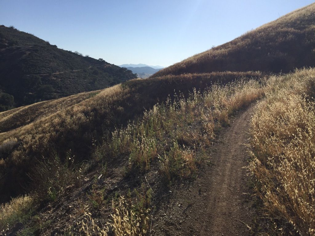 Narrow dirt trail through golden dry grass on rolling hills, bright sunlight. - Bike loop from Mountains Restoration Trust Land