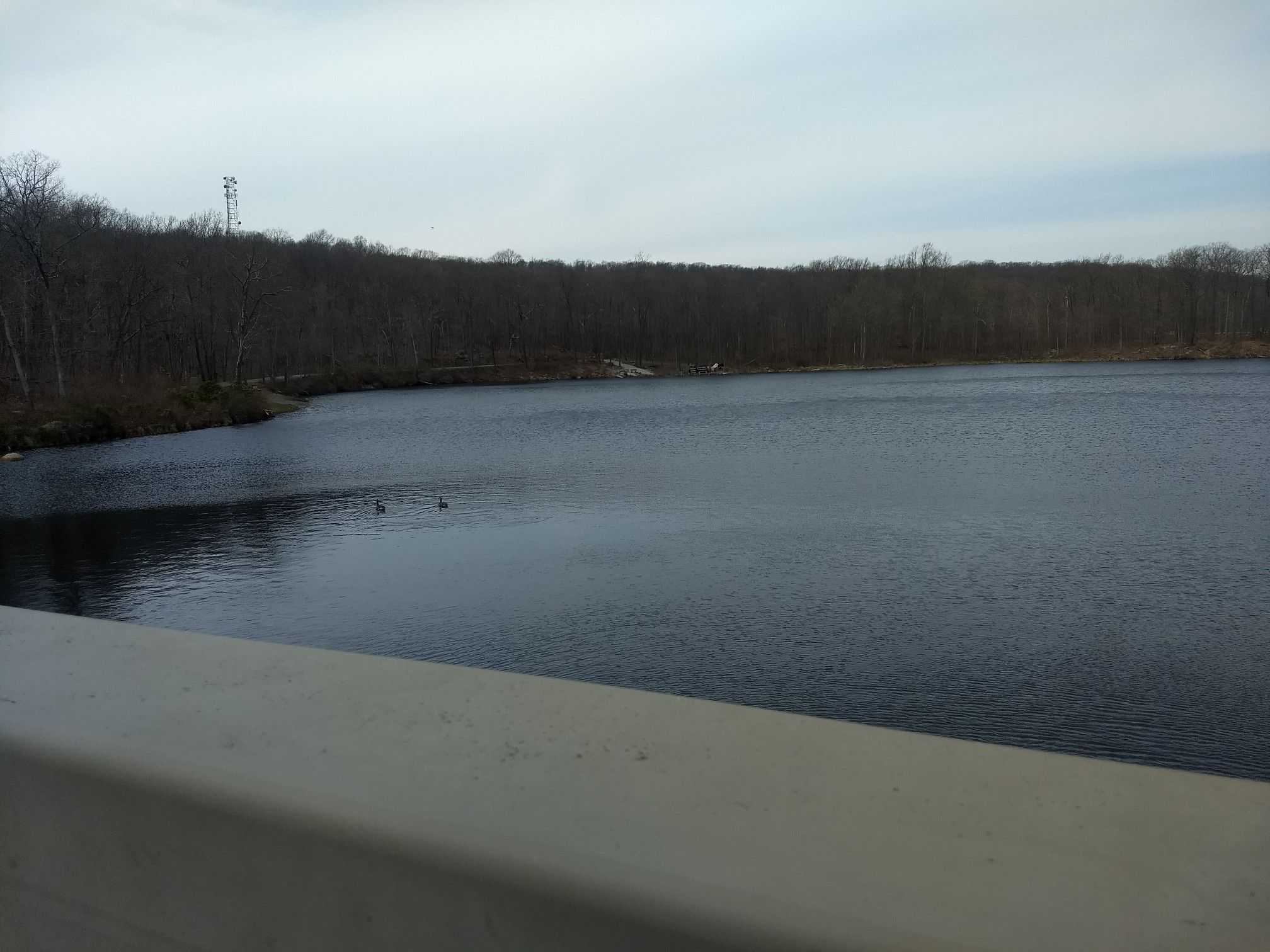 A wide, calm lake with bare trees on the distant shore under an overcast sky. - Saffin Pond – Highest Point in Morris County loop from Mahlon Dickerson Reservation