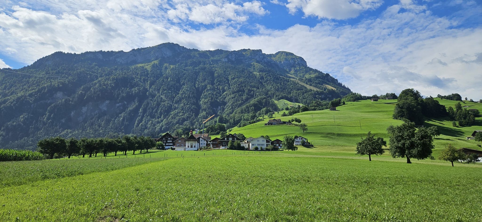 Via Oberschönenbuch weiter ins Schlattli.