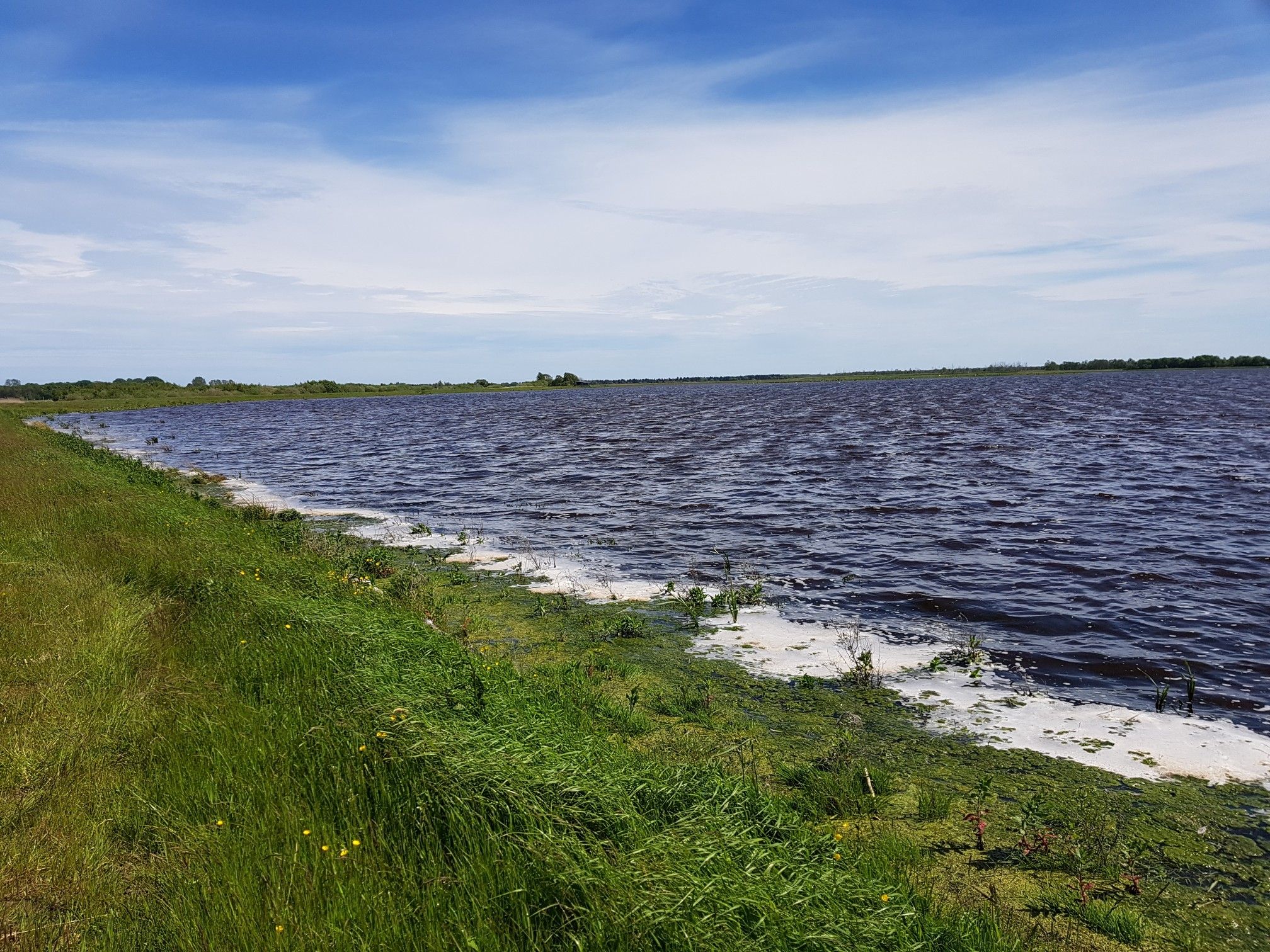 Der See