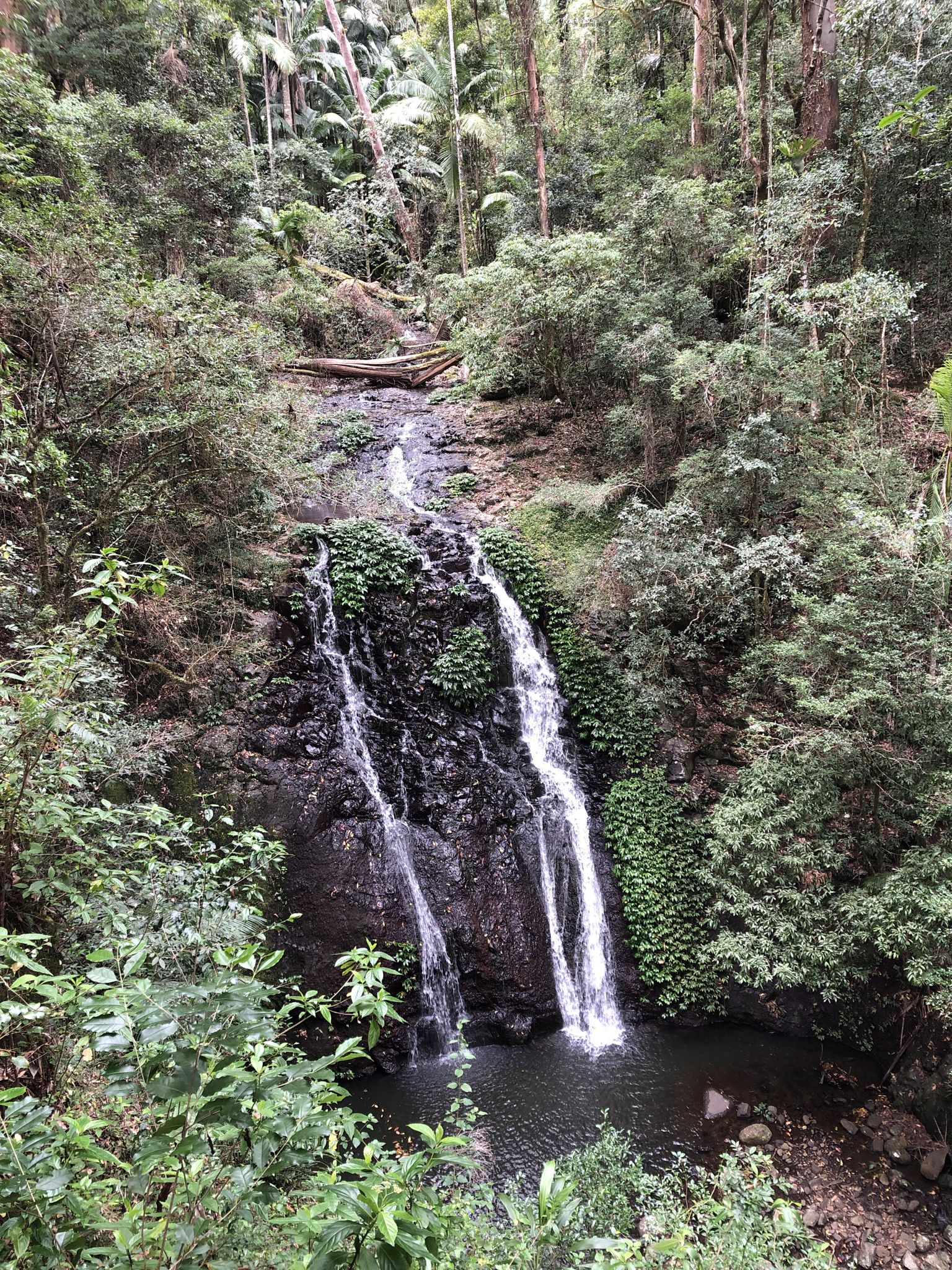 Brush box falls. 