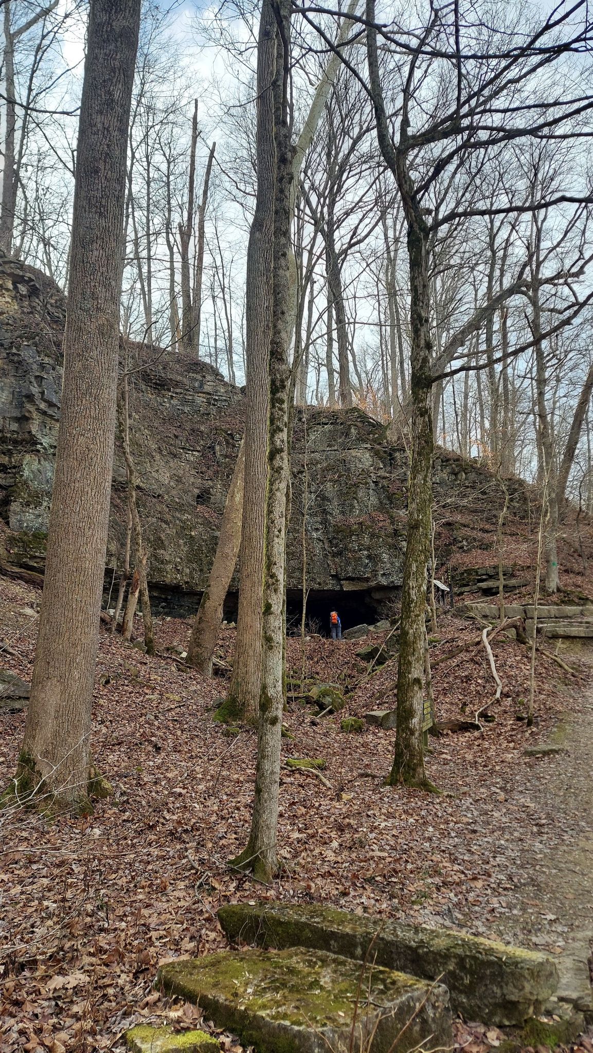 A person stands at a cave entrance in a rocky, leafless forest. - Clifty Falls: Trail 5, 2, and 8 Loop