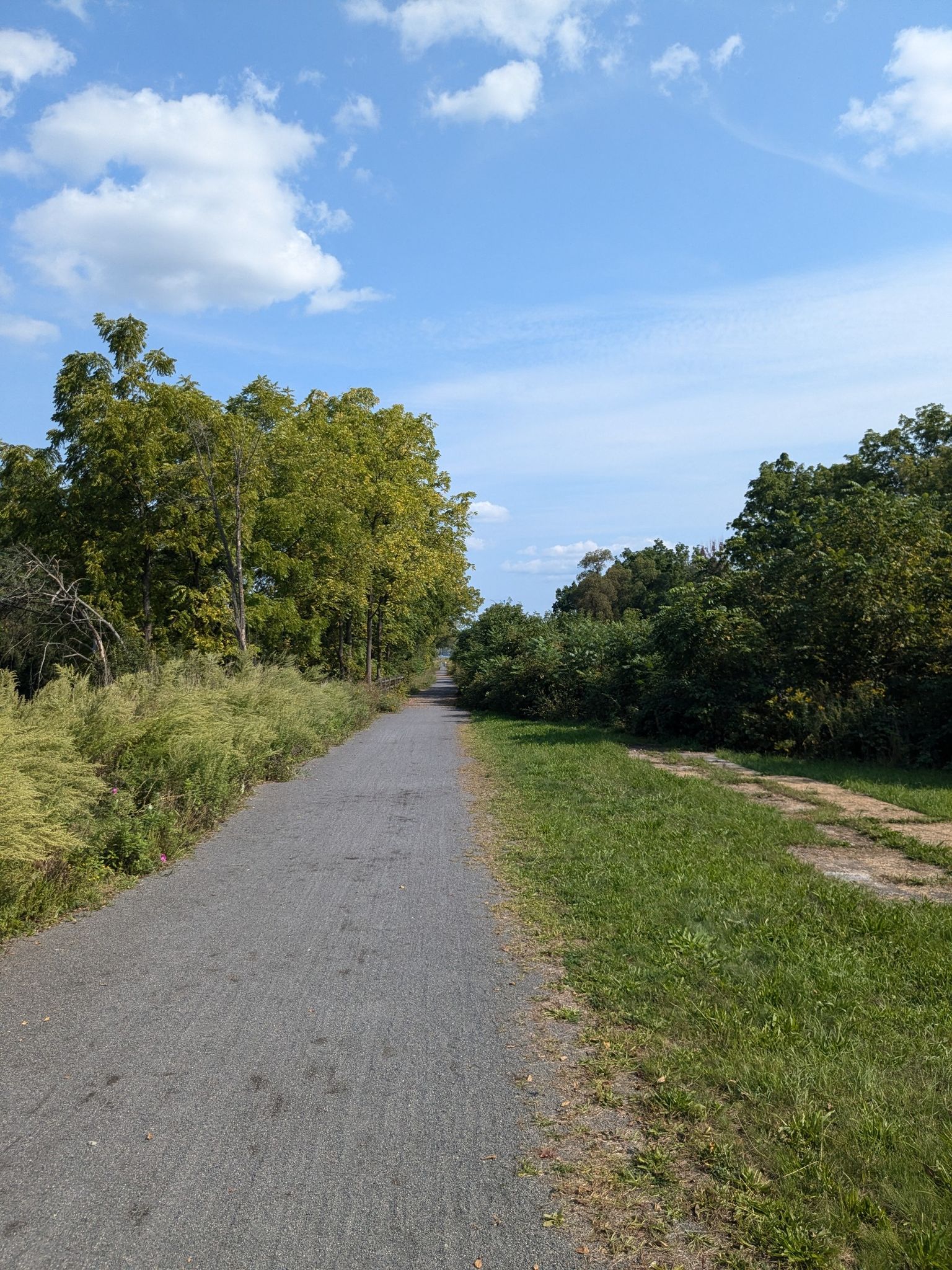 Paved path through lush green trees and grass under a bright blue sky. - Erie Canalway Trail: Camillus to Syracuse