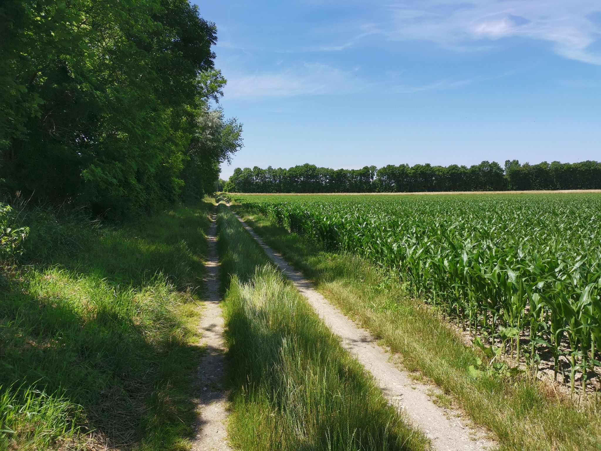 Am Weg nach Tulbing