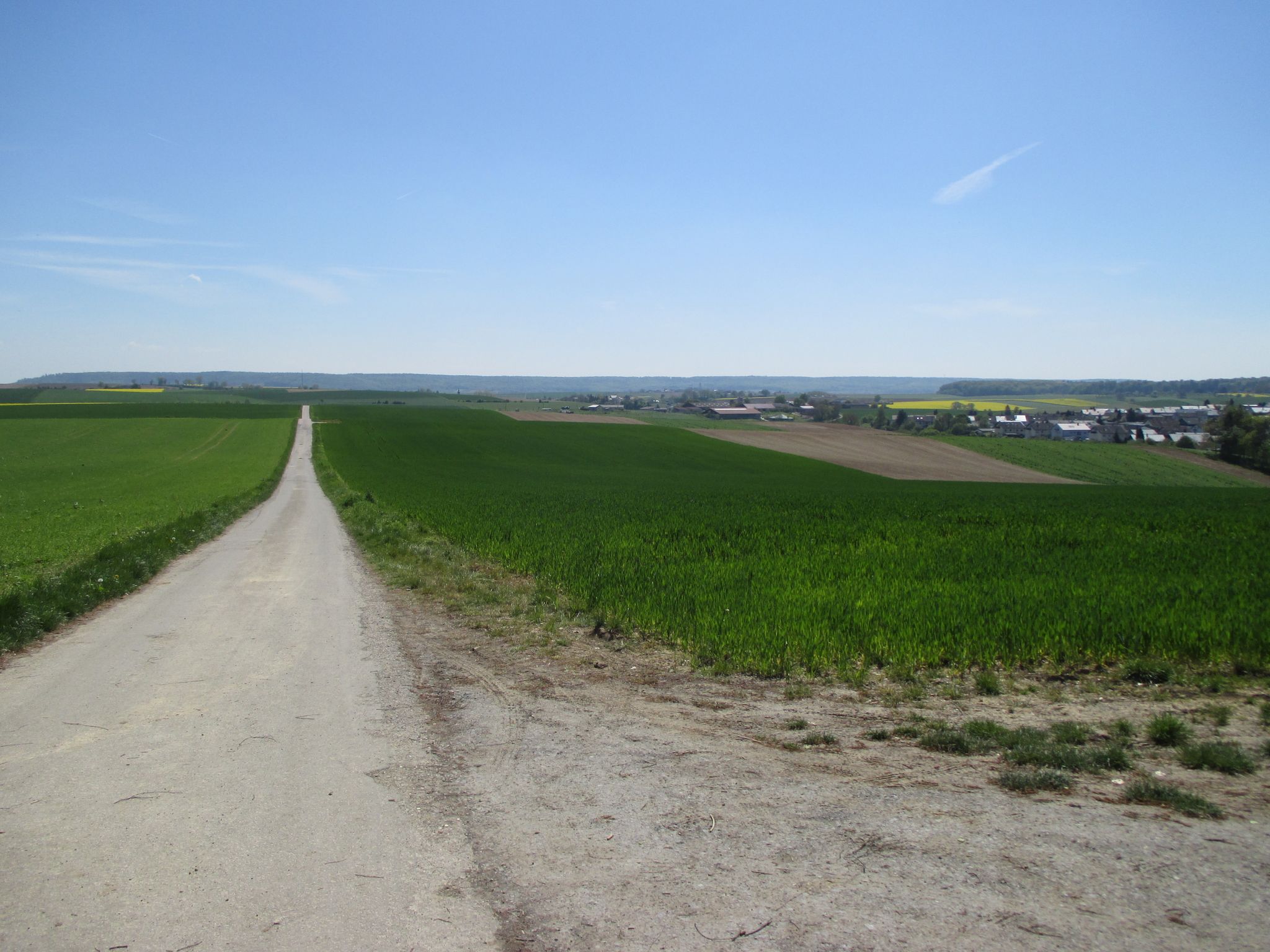 vor Massenbachhausen