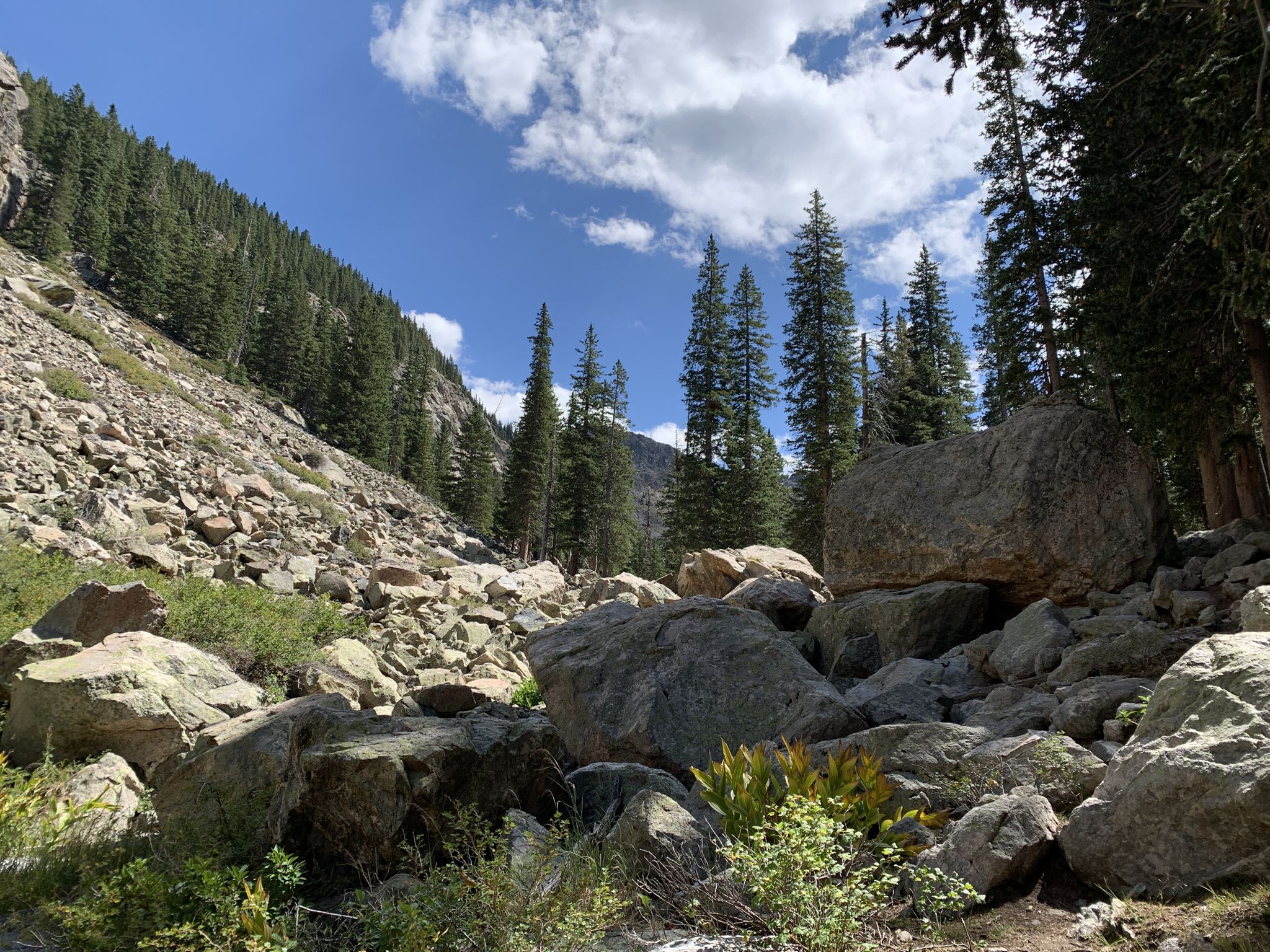 Rocky mountain slope with pine trees and large boulders under a sunny sky. - Nambe Lake Trail