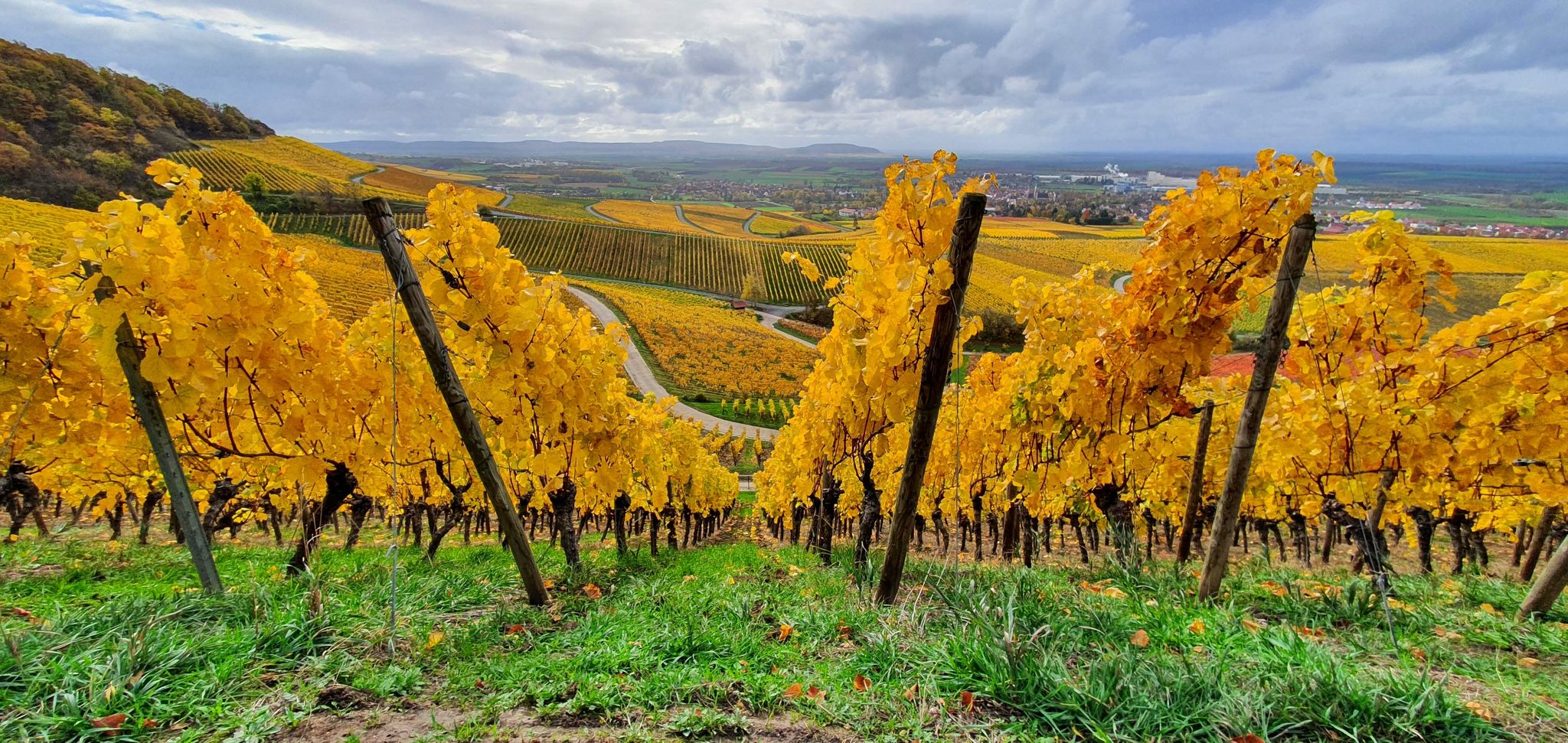 Weinberge Iphofen