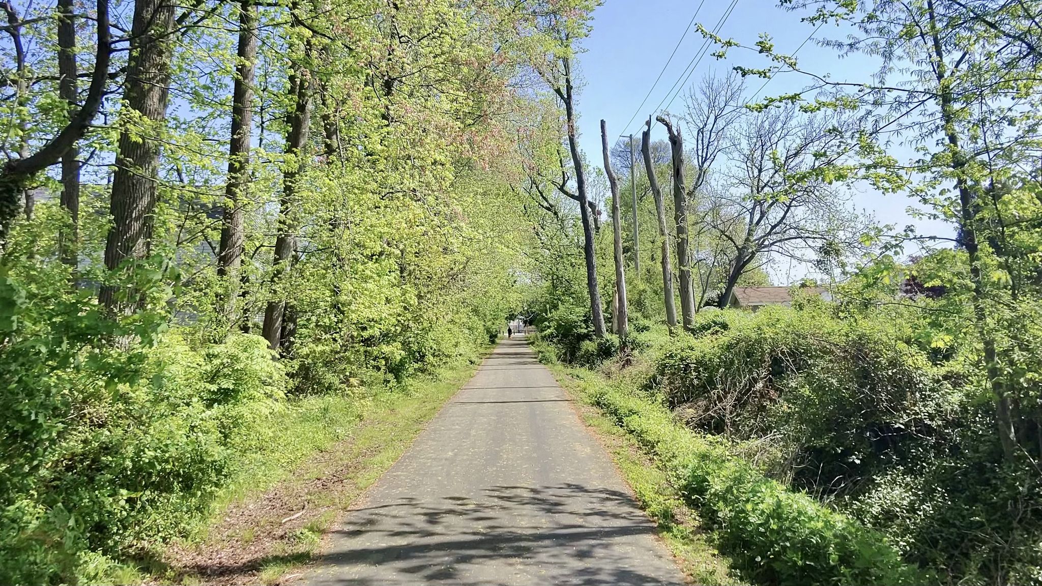 Paved path winding through a vibrant green forest with a person in the distance. - Henry Hudson Bike Trail loop from Hazlet