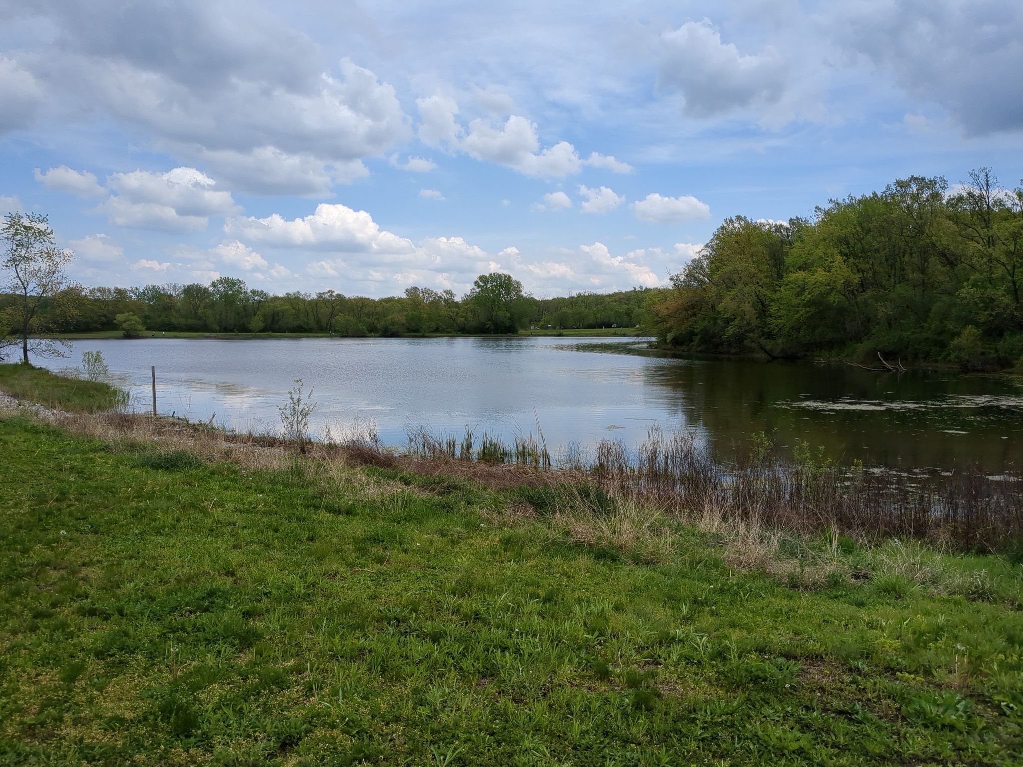 Wide, calm lake surrounded by green grass and dense trees under a cloudy sky. - Tinley Creek Red Loop
