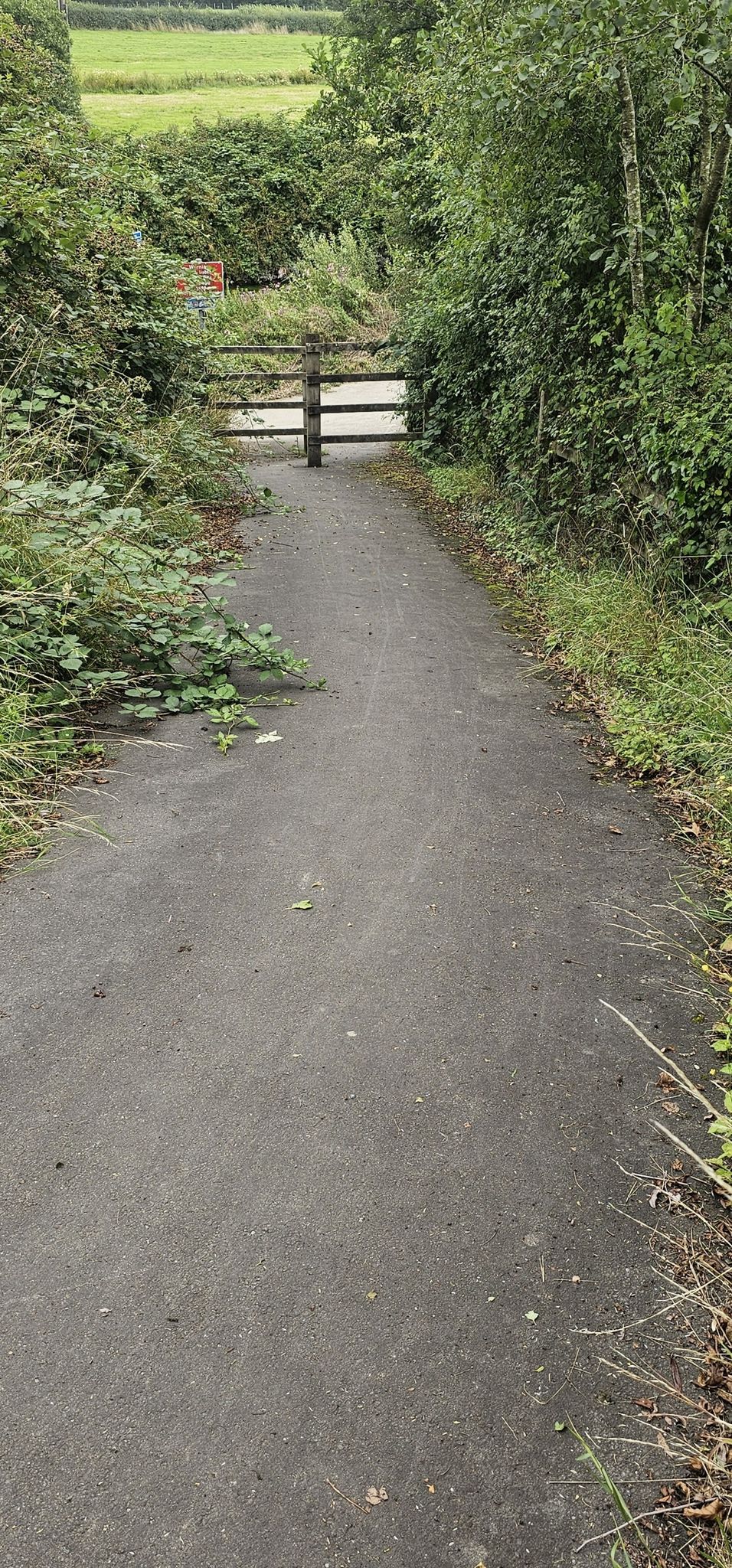 Falle: Ende Radweg und dann 20 % hoch - vorher aber Gate