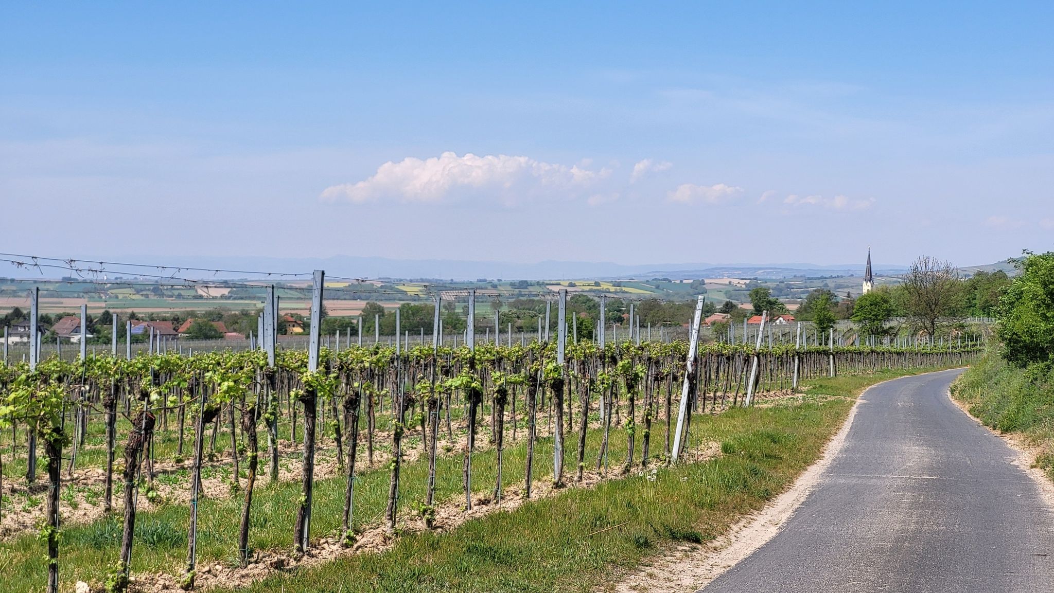 weit geht der Blick, bis ins Alpenvorland