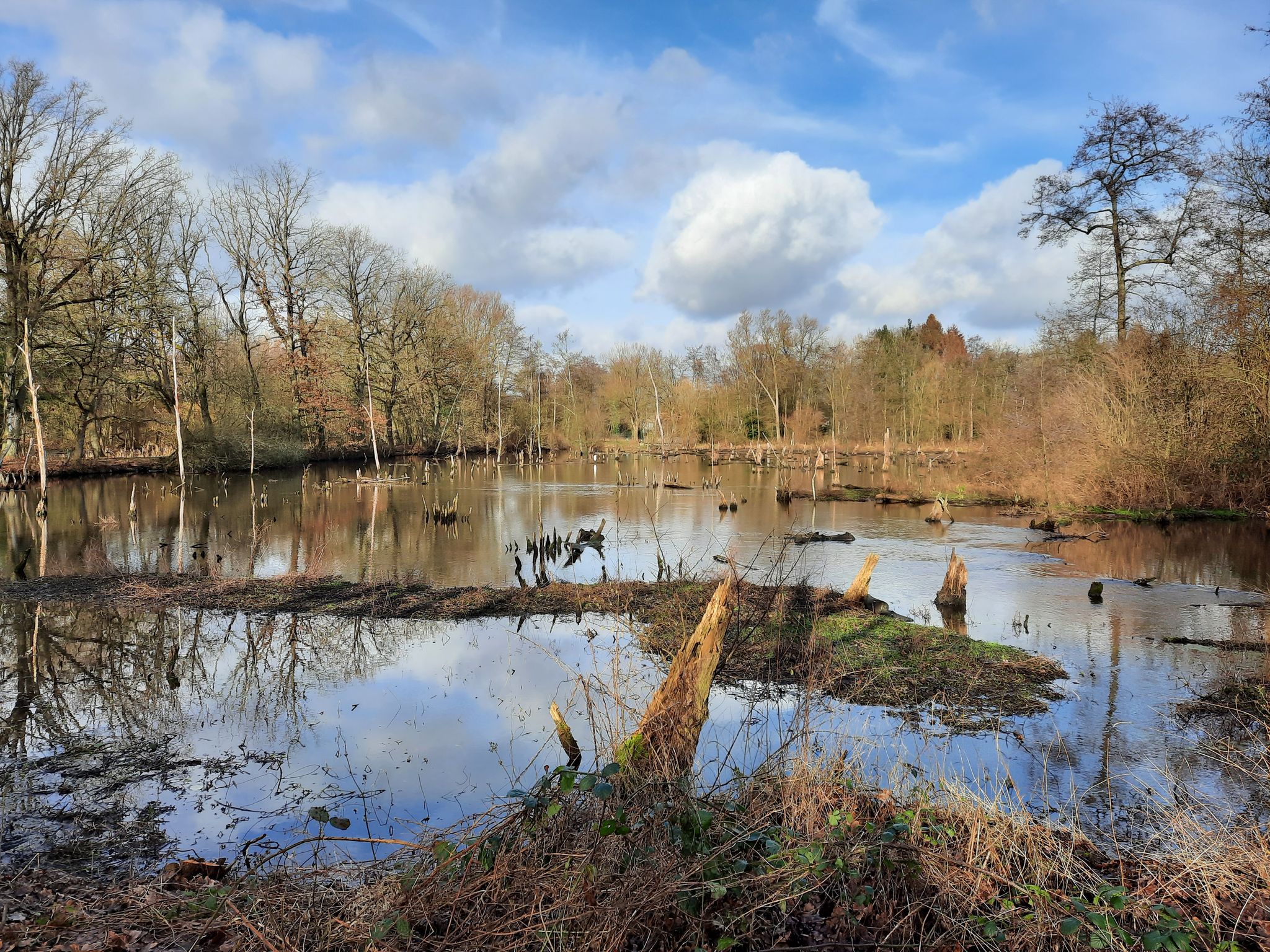 Schwalm Biotop