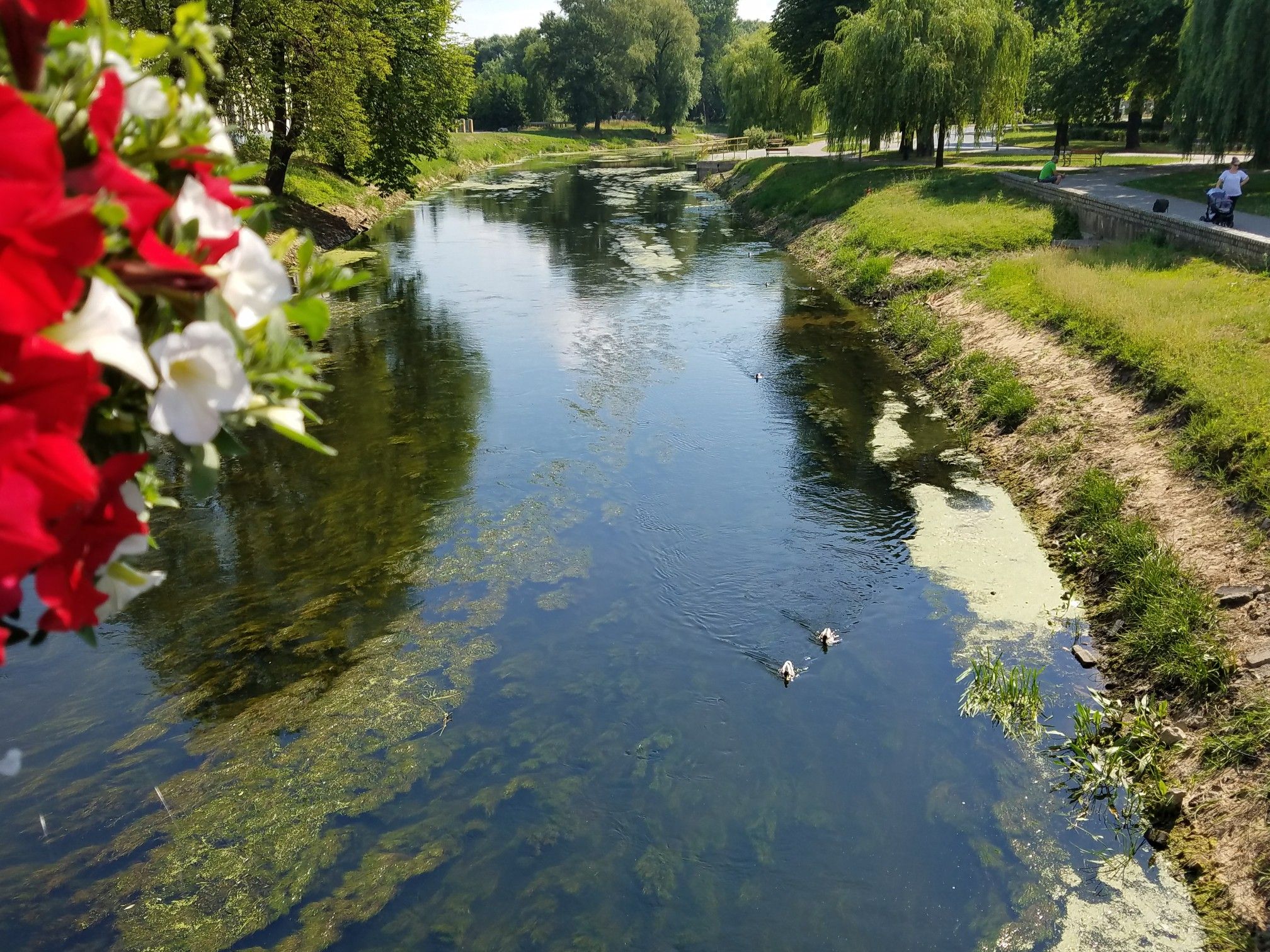 Blick auf die Obra 