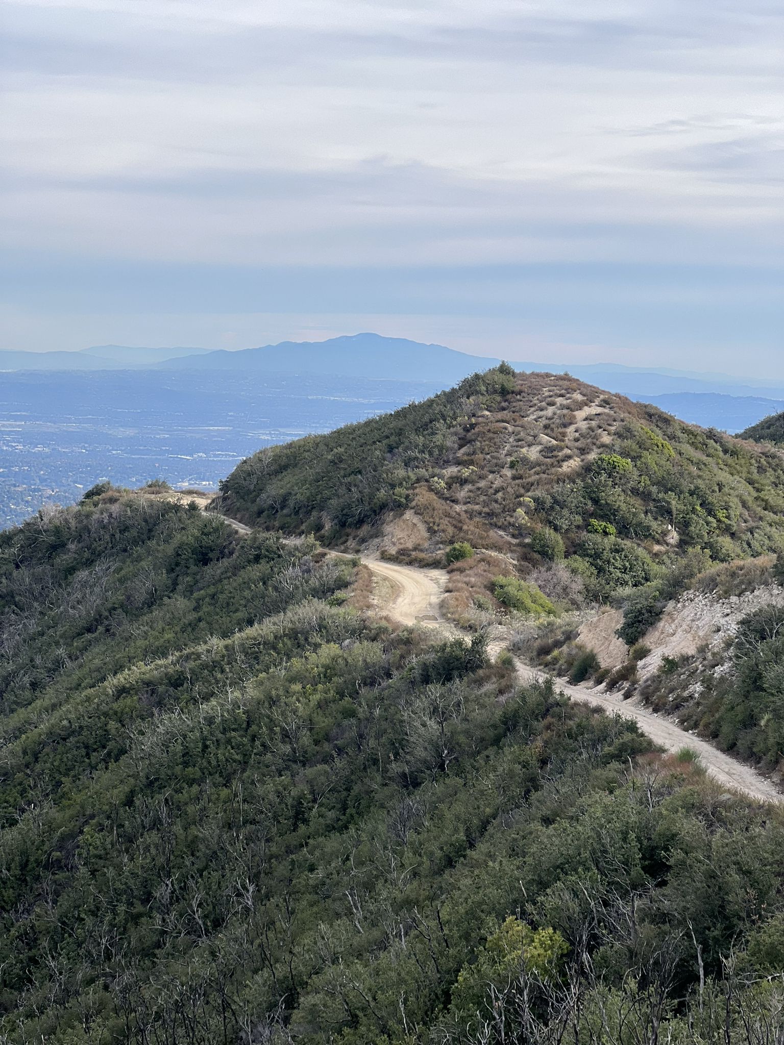 Dirt trail winding over a green mountain ridge with a hazy valley below. - Angeles Overlook – Angeles Crest vista point loop from La Cañada Flintridge