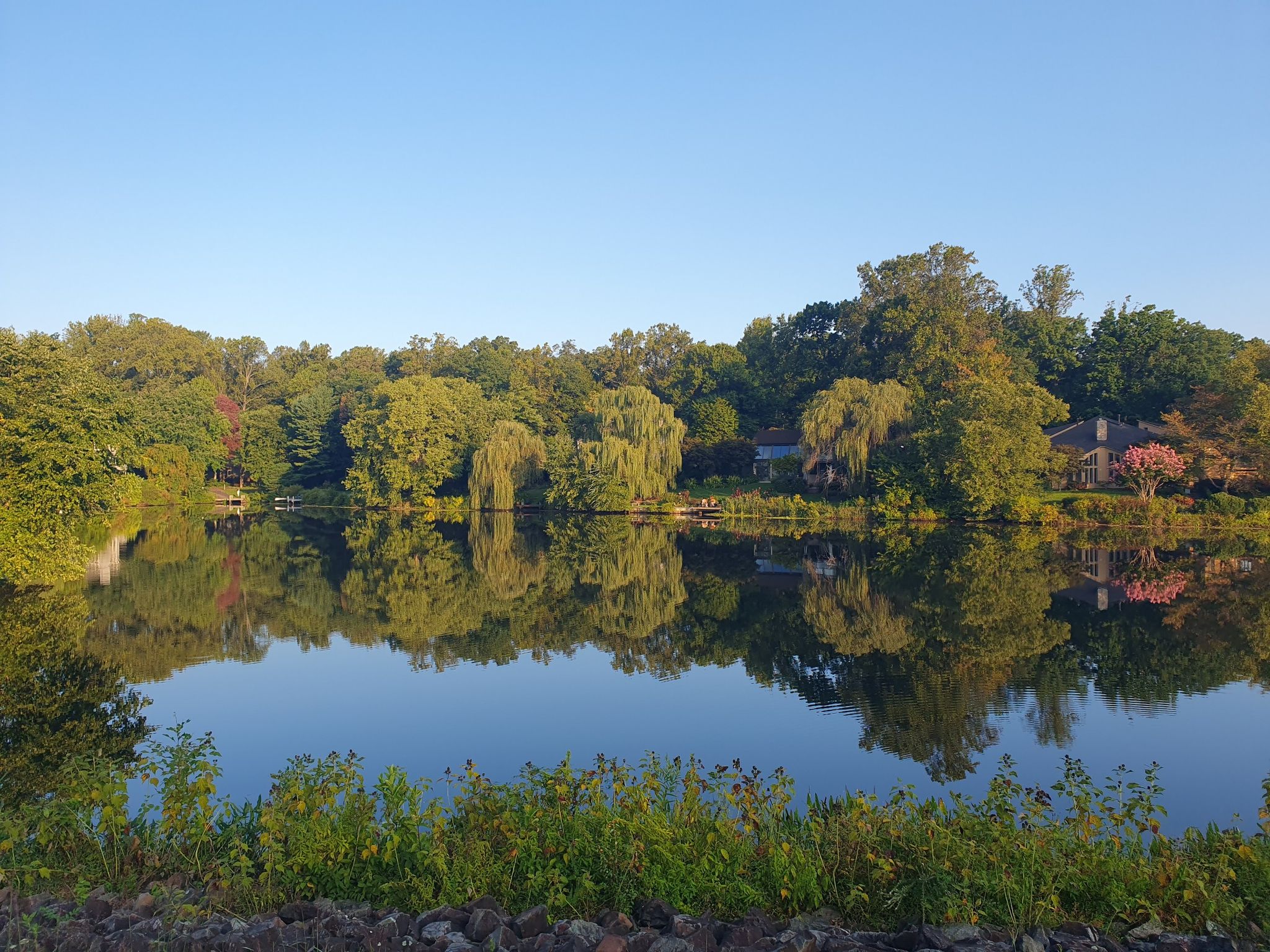 Calm lake reflecting lush green trees and a clear blue sky. - Baron Cameron Park Loop