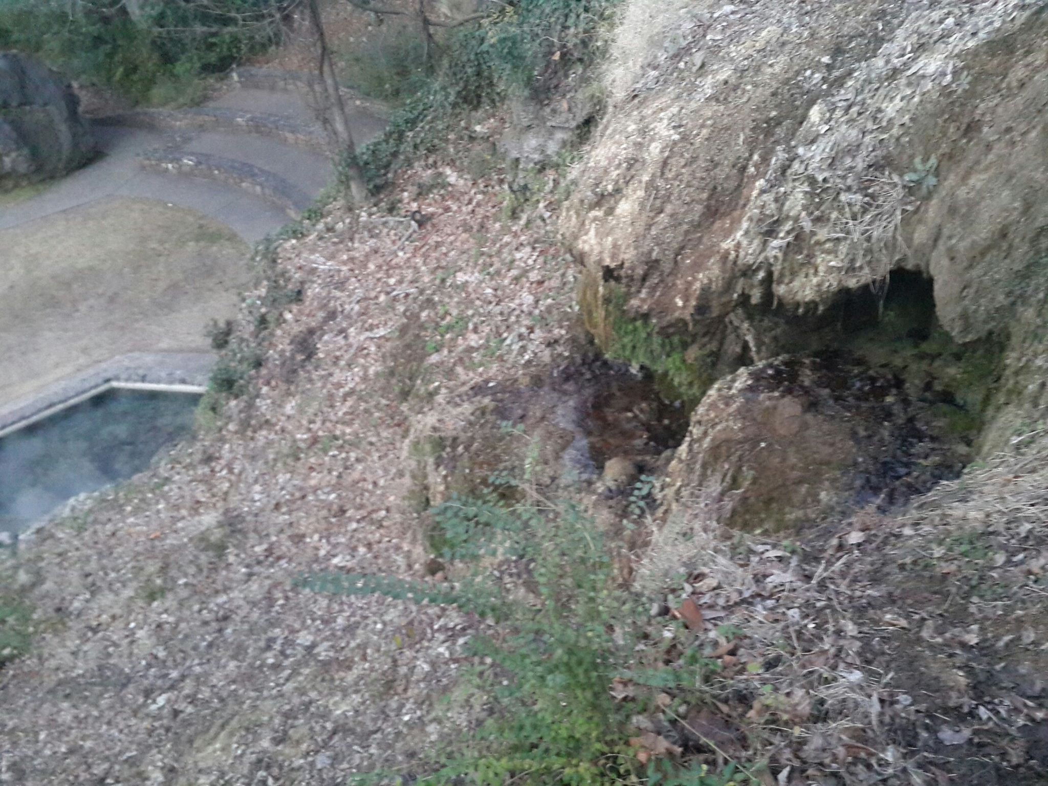 Hot Spring Cascade