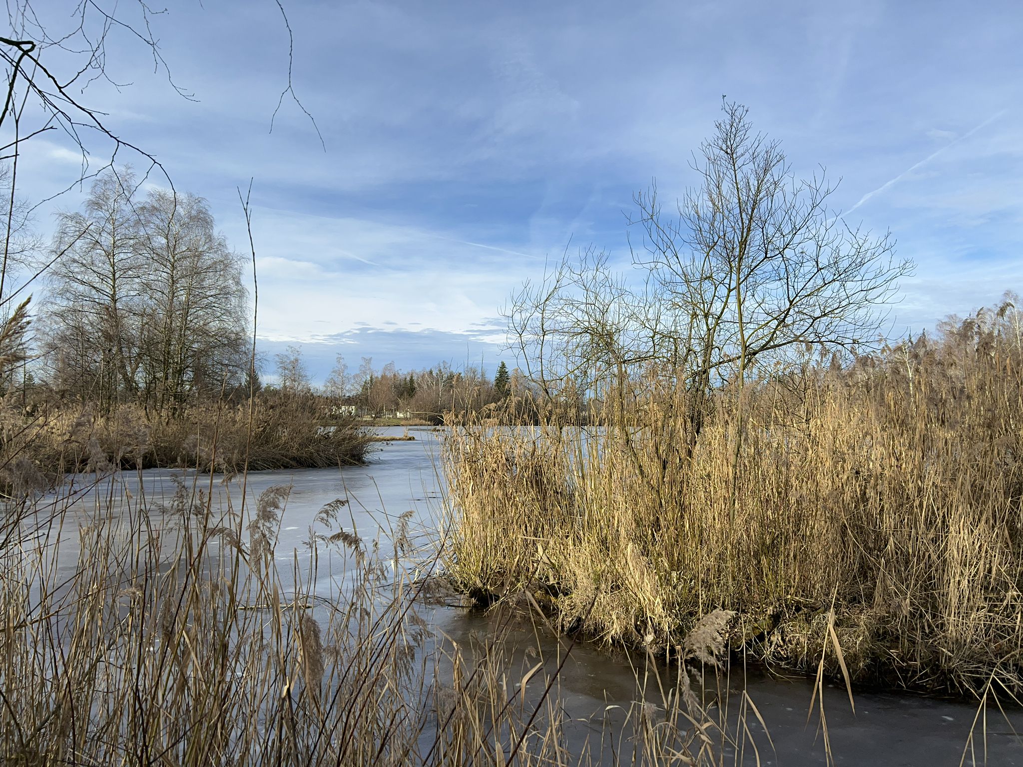 Bürmooser See