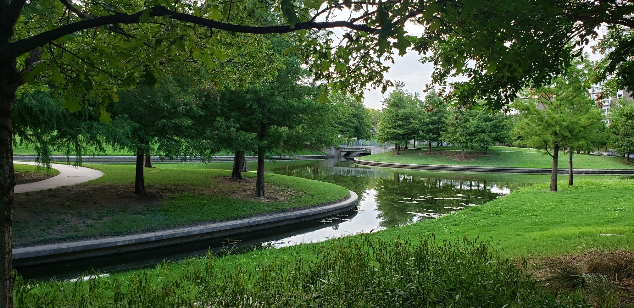 Lush green trees frame a calm pond with winding paths under soft, overcast light. - Vitruvian Park and Brookhaven Running Track Loop