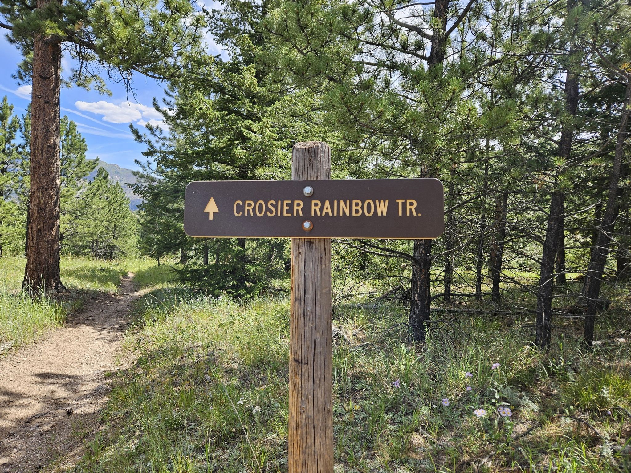 A wooden trail sign stands on a dirt path surrounded by green forest. - Crosier Mountain Trail loop from Garden Gate Trail Head