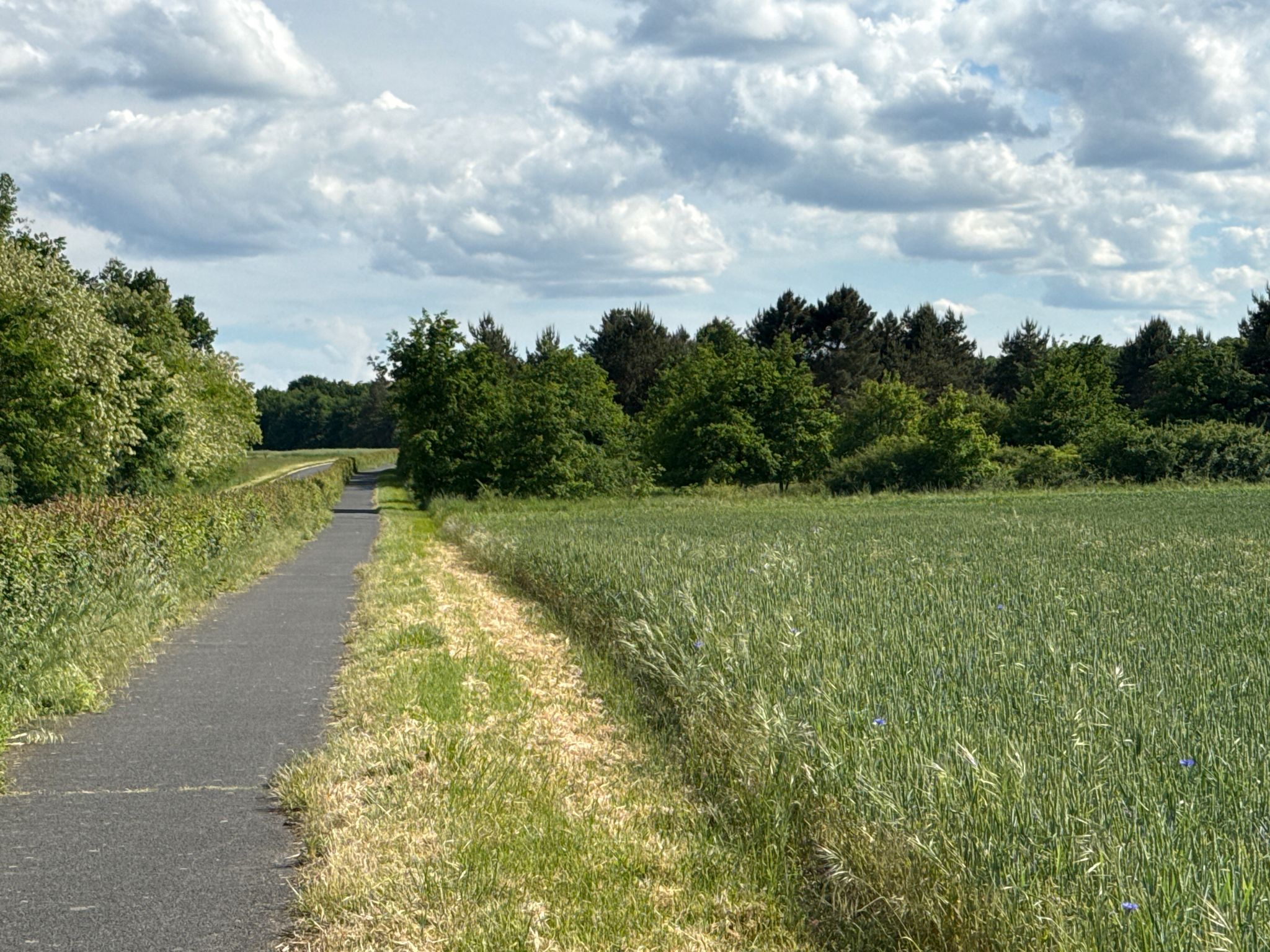 schöner Radweg über Land