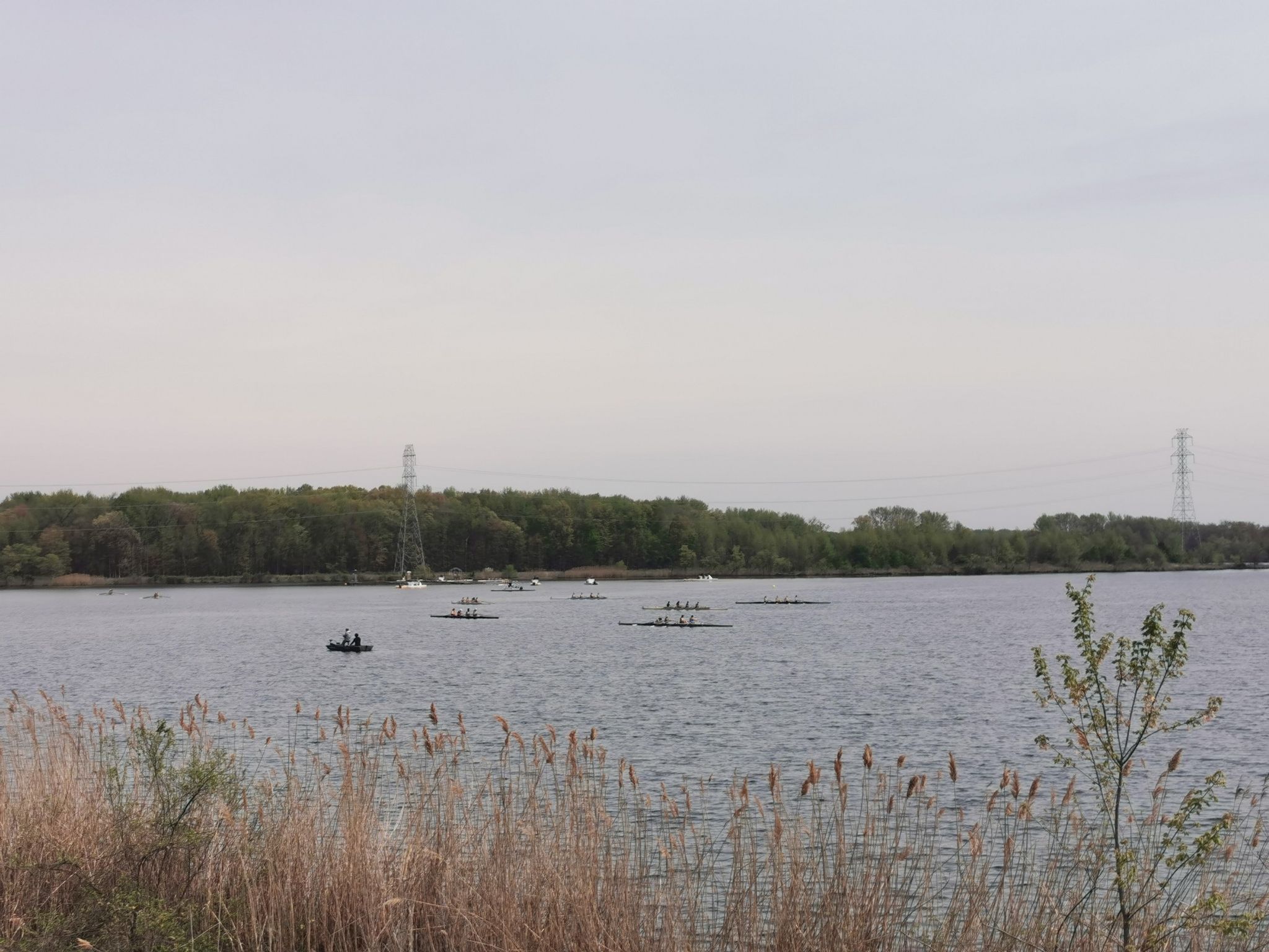 Multiple rowboats with people on a wide lake, seen through reeds. - Mercer County Park – Mercer Lake loop from Mercer County Community College