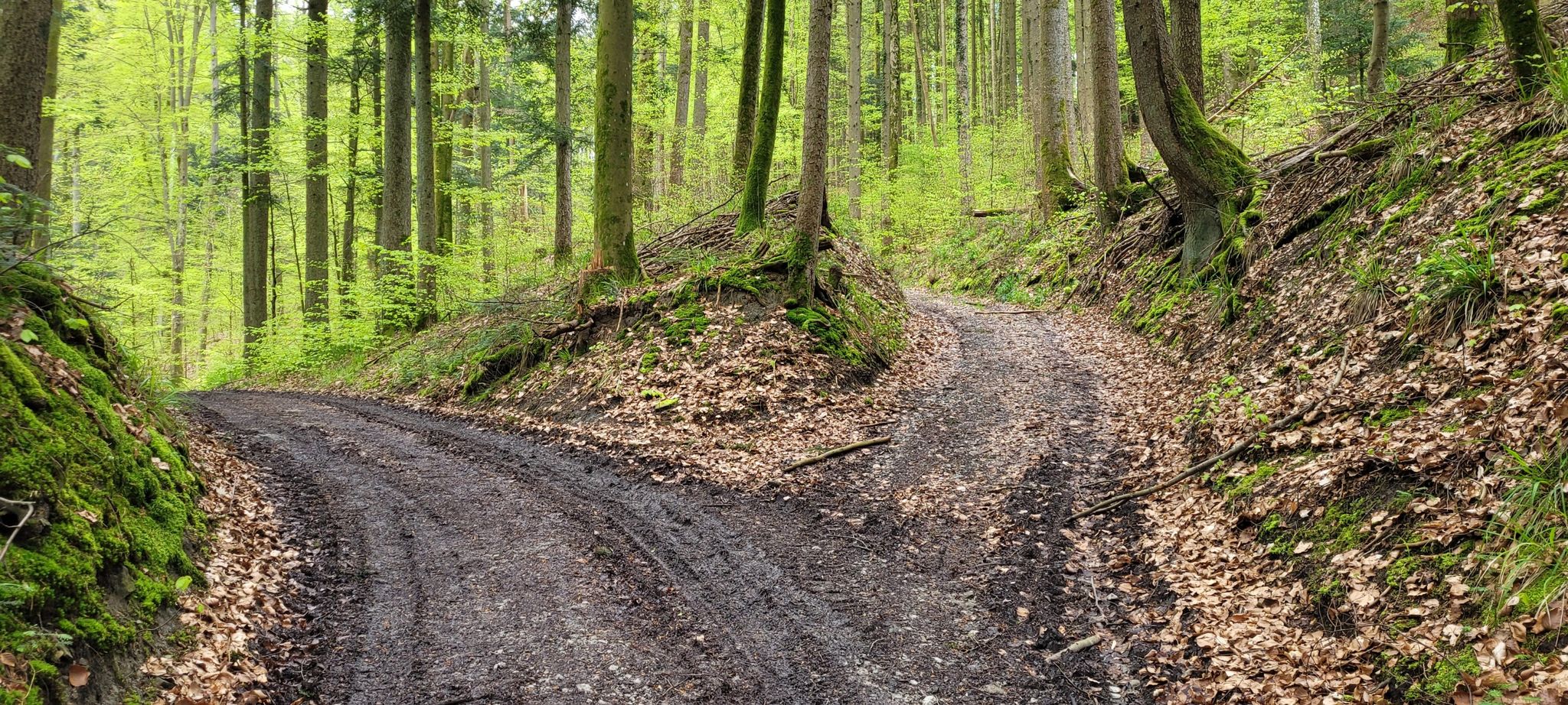 links abbiegen um auf eingezeichneter Route zu bleiben