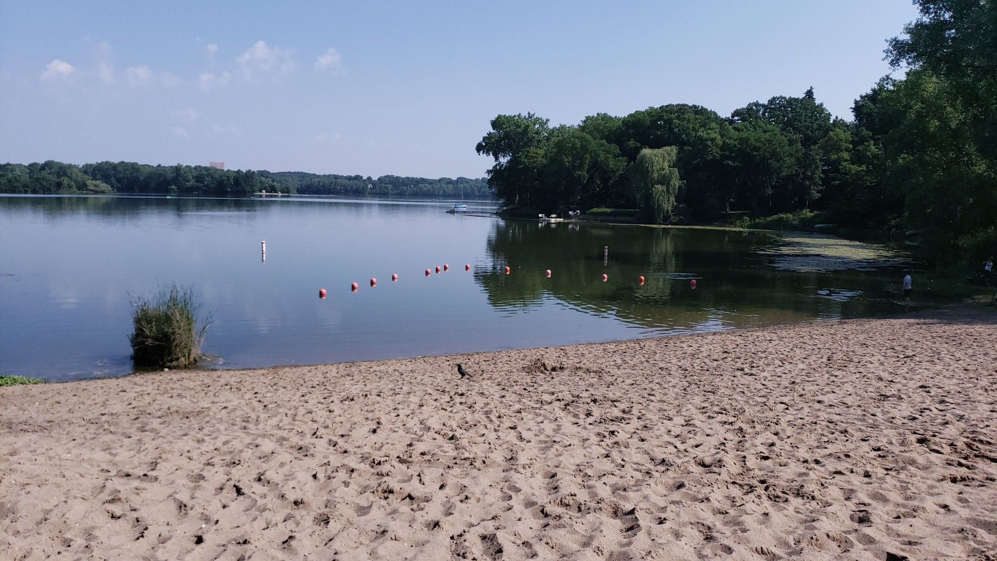 Wide sandy beach leading to a calm lake with buoys under a bright sky. - Midtown Greenway – Cedar Lake loop from Franklin Avenue