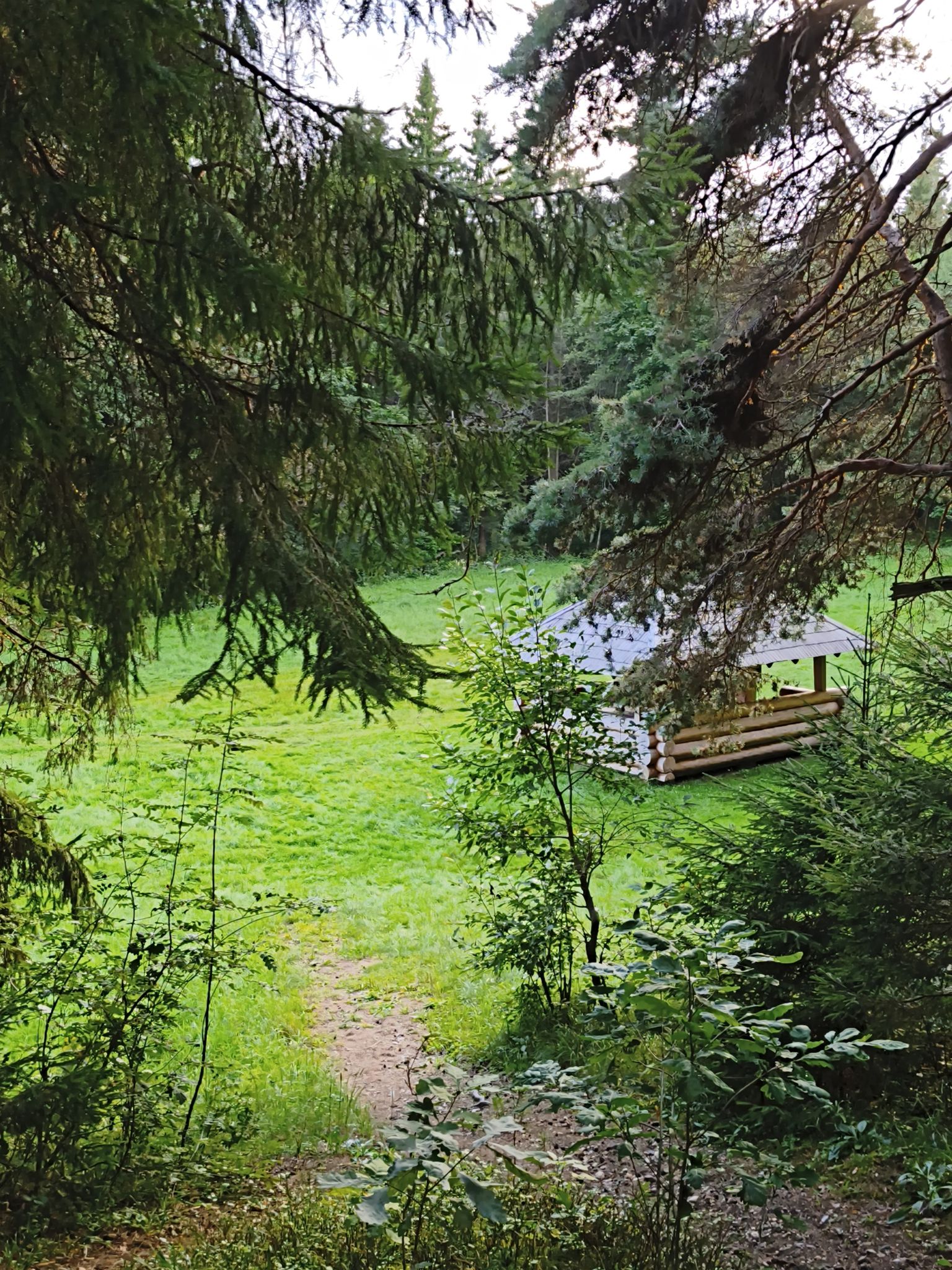 picnic place