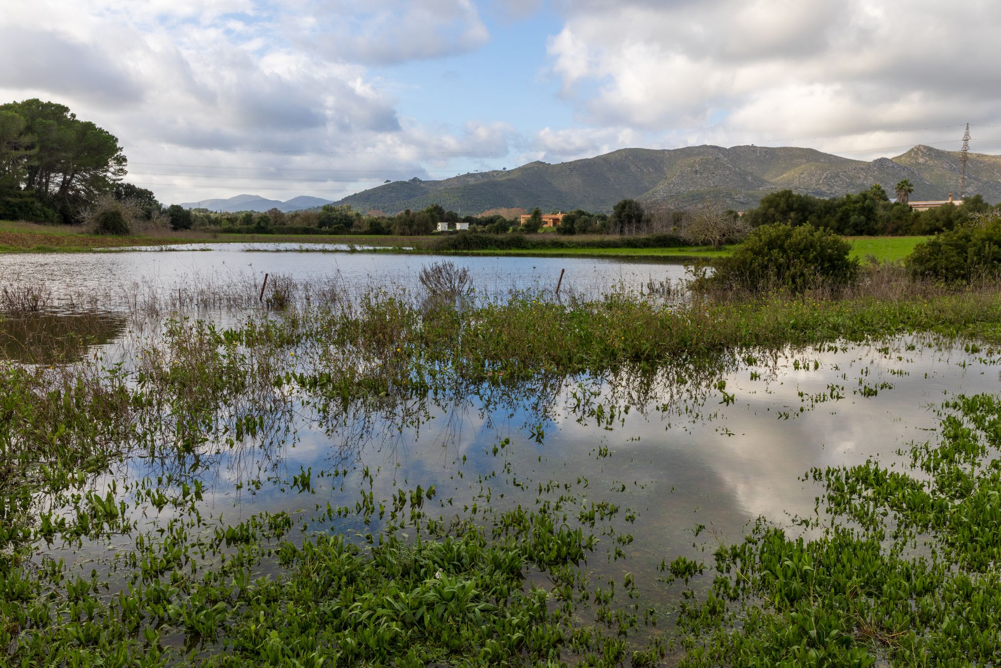 Auch auf diesem Feld steht noch das Wasser vom Regen der vergangenen Tage