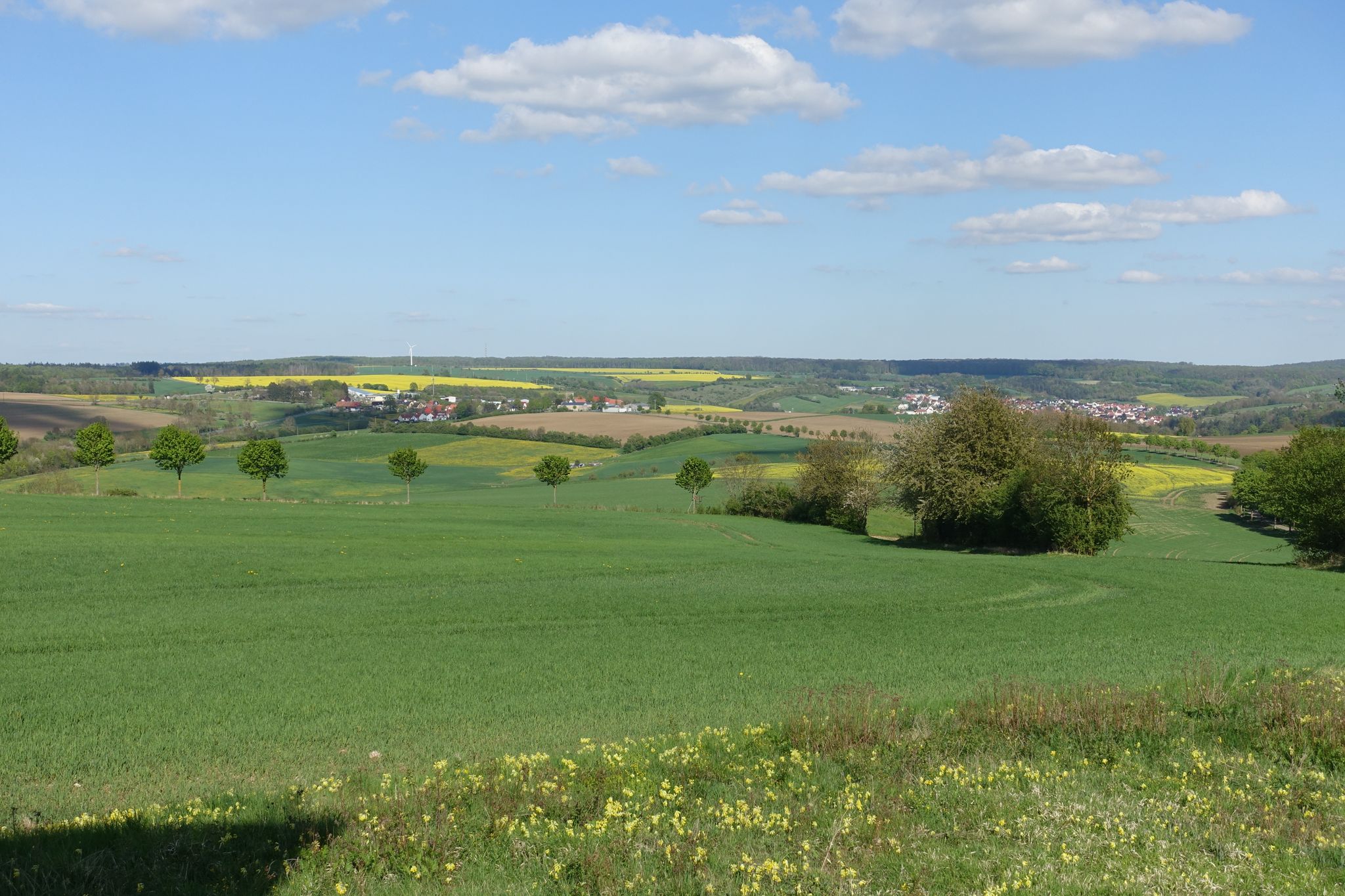 Blick über das Eichsfeld
