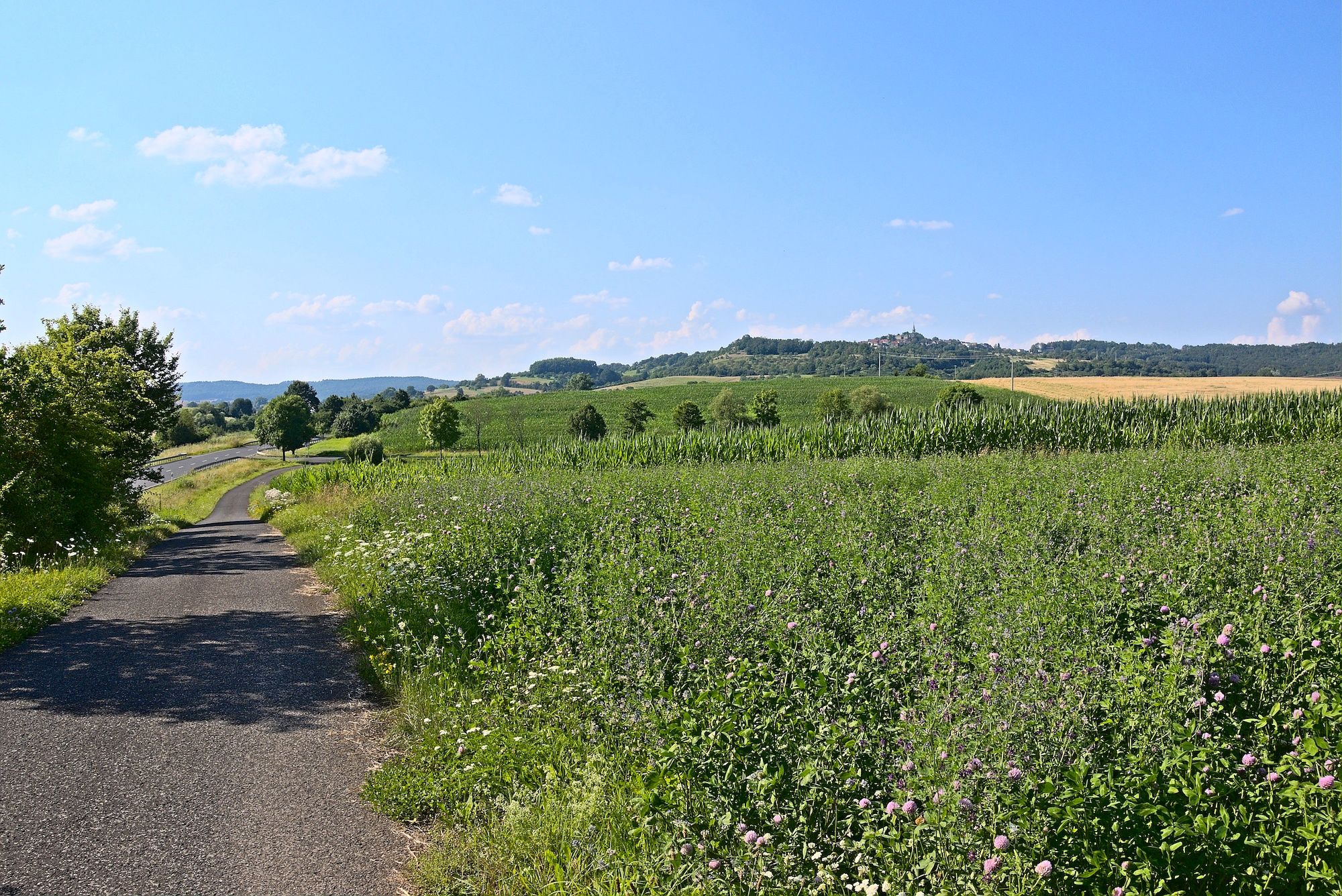 Blick zurück nach Altenstein