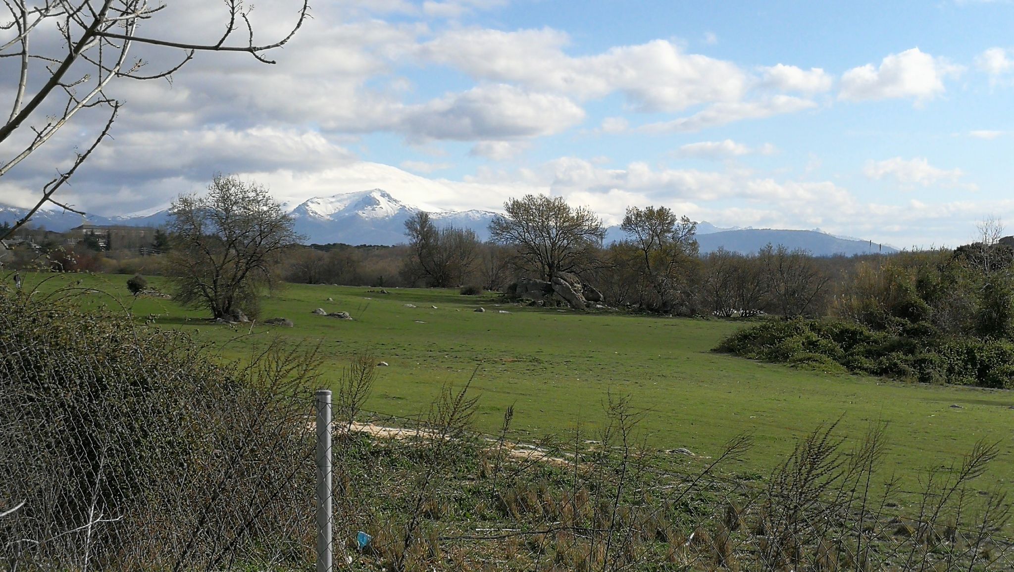 El campo verde, con tanta agua lo normal.