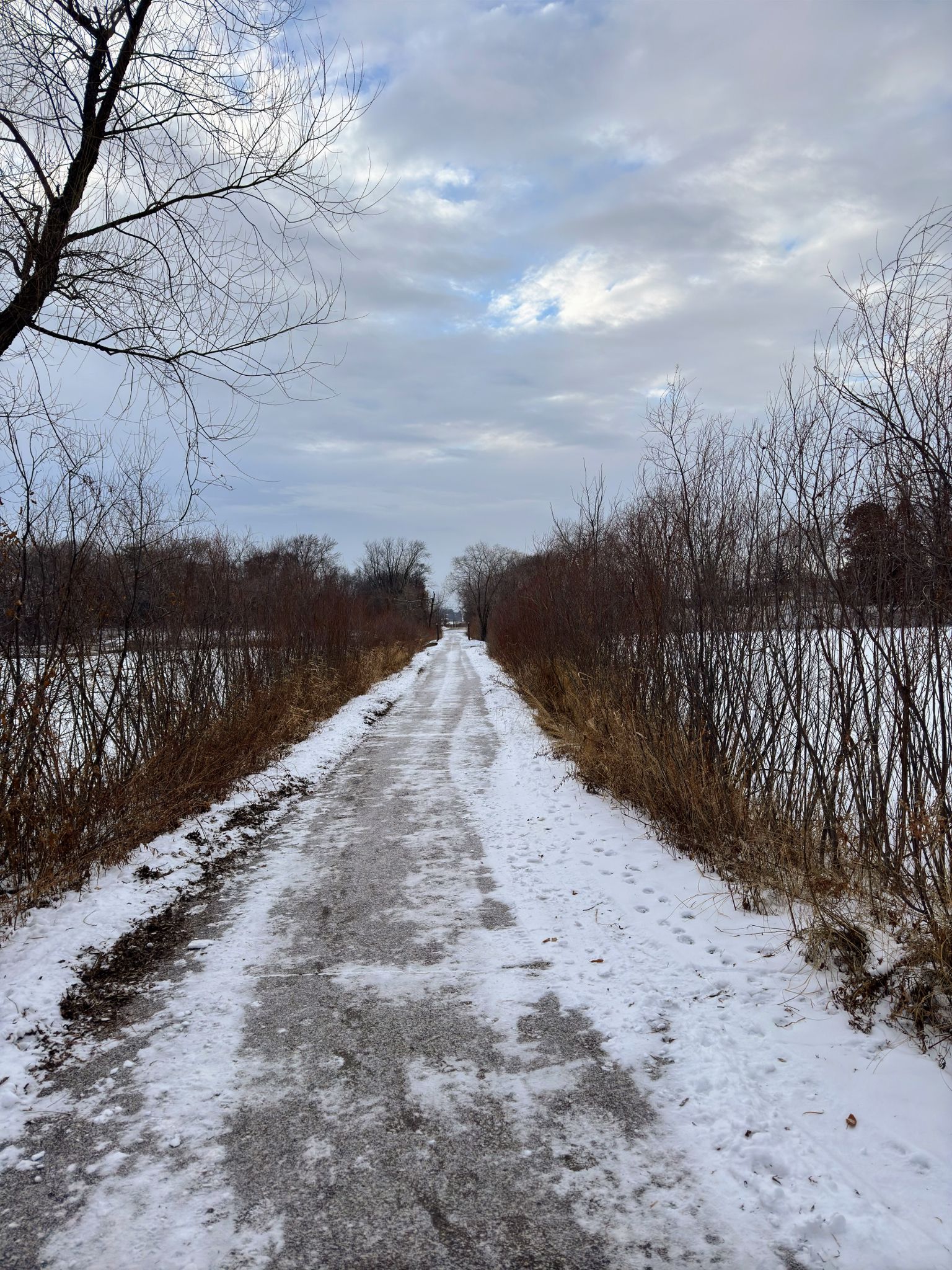 A straight, icy path through a snowy landscape with frozen water on sides. - Langton Lake loop from New Brighton