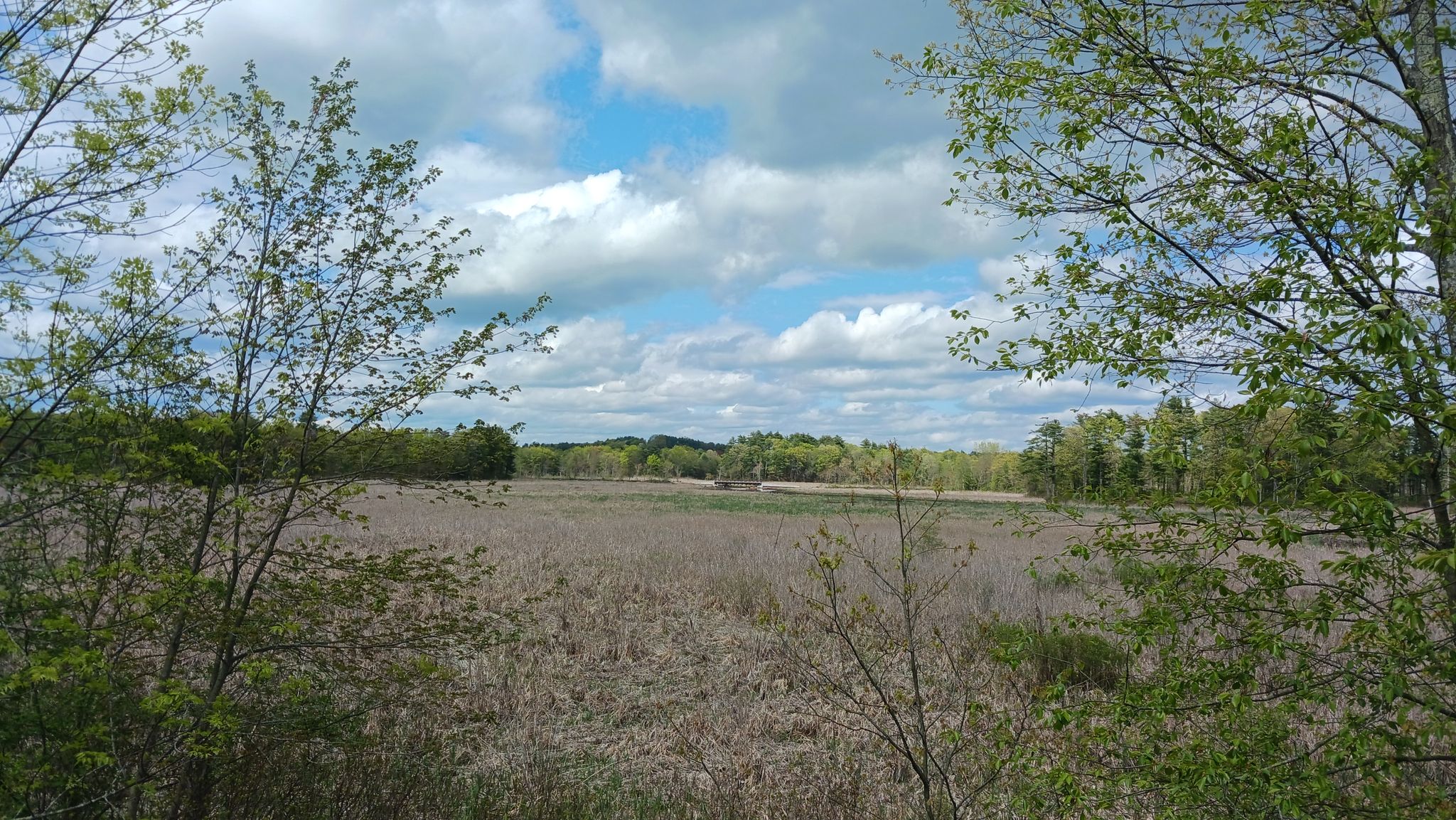Wide view of a grassy field under a partly cloudy sky. - Assabet River Rail Trail (Full Length)
