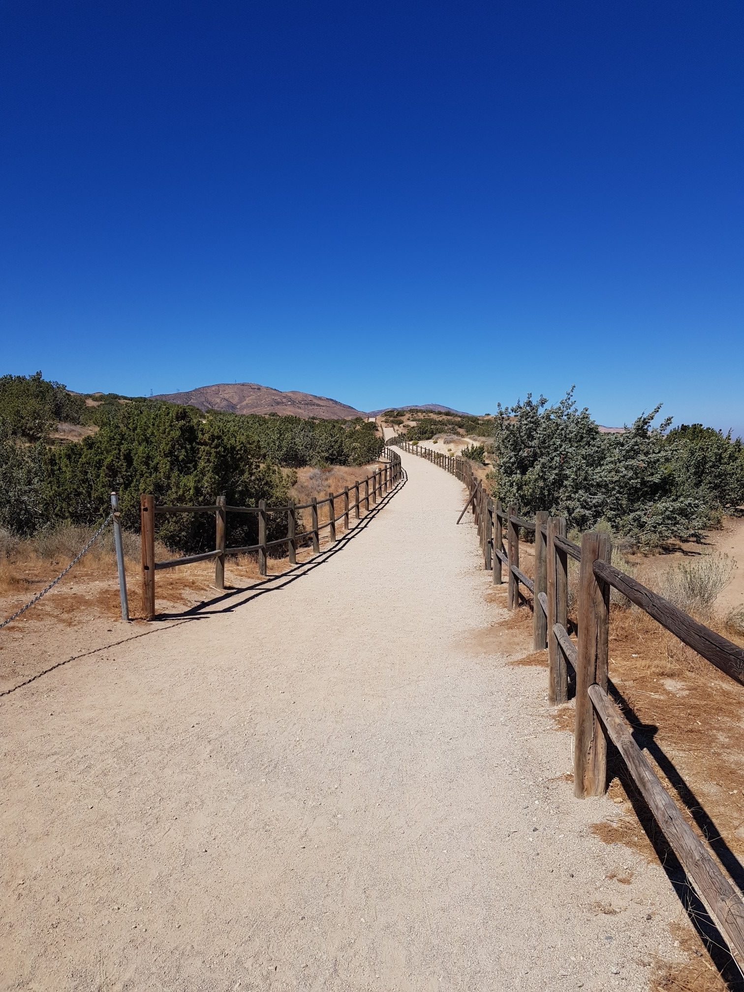 A winding dirt path with wooden fences, surrounded by green shrubs. - Barrel Springs Trail