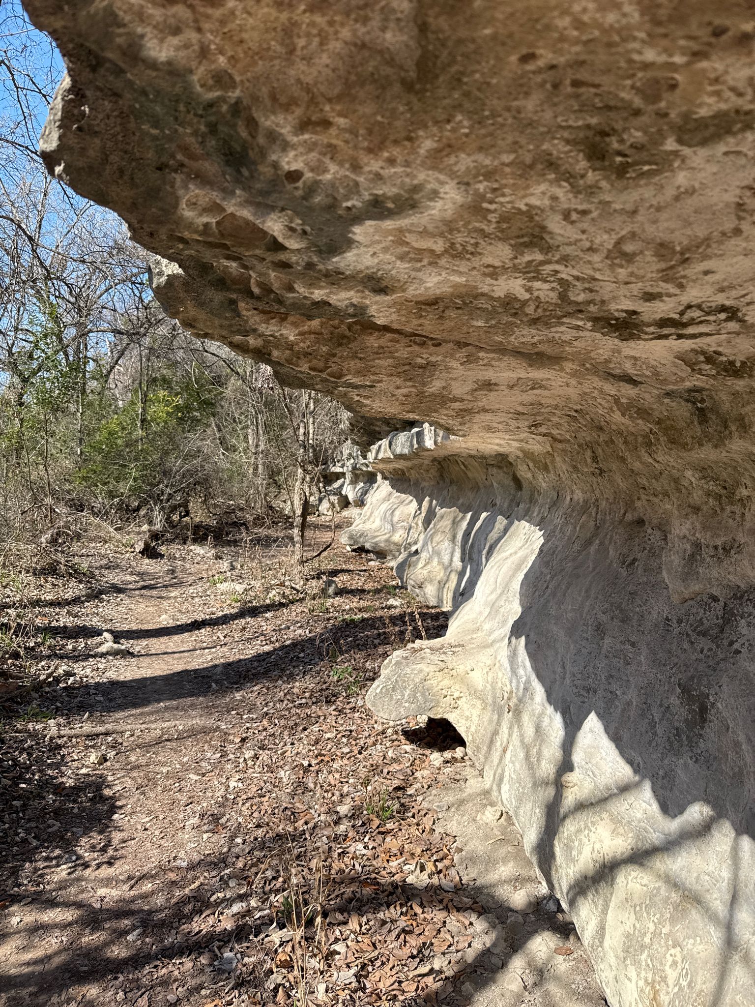A dirt path next to a light-colored, textured rock overhang in sunlight. - Upper Bull Creek Greenbelt Trail