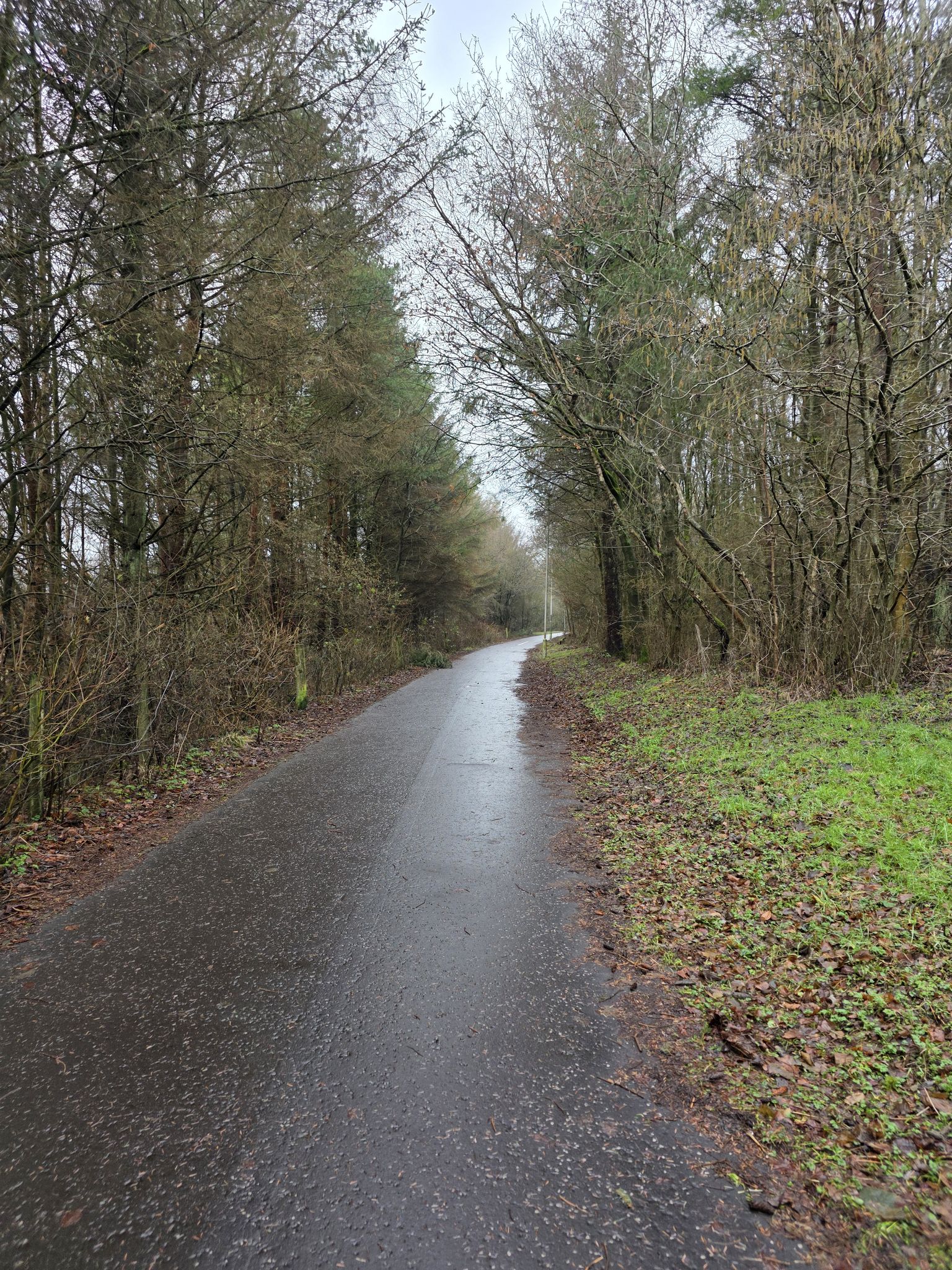 Boblinger Way