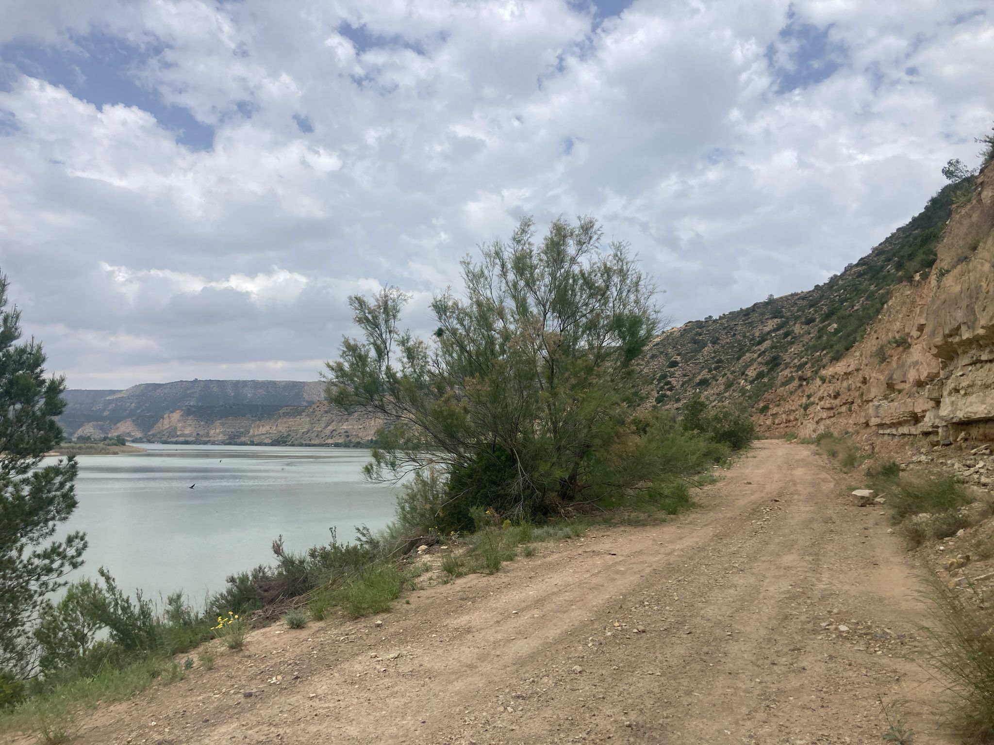 Wieder am Ebro unten