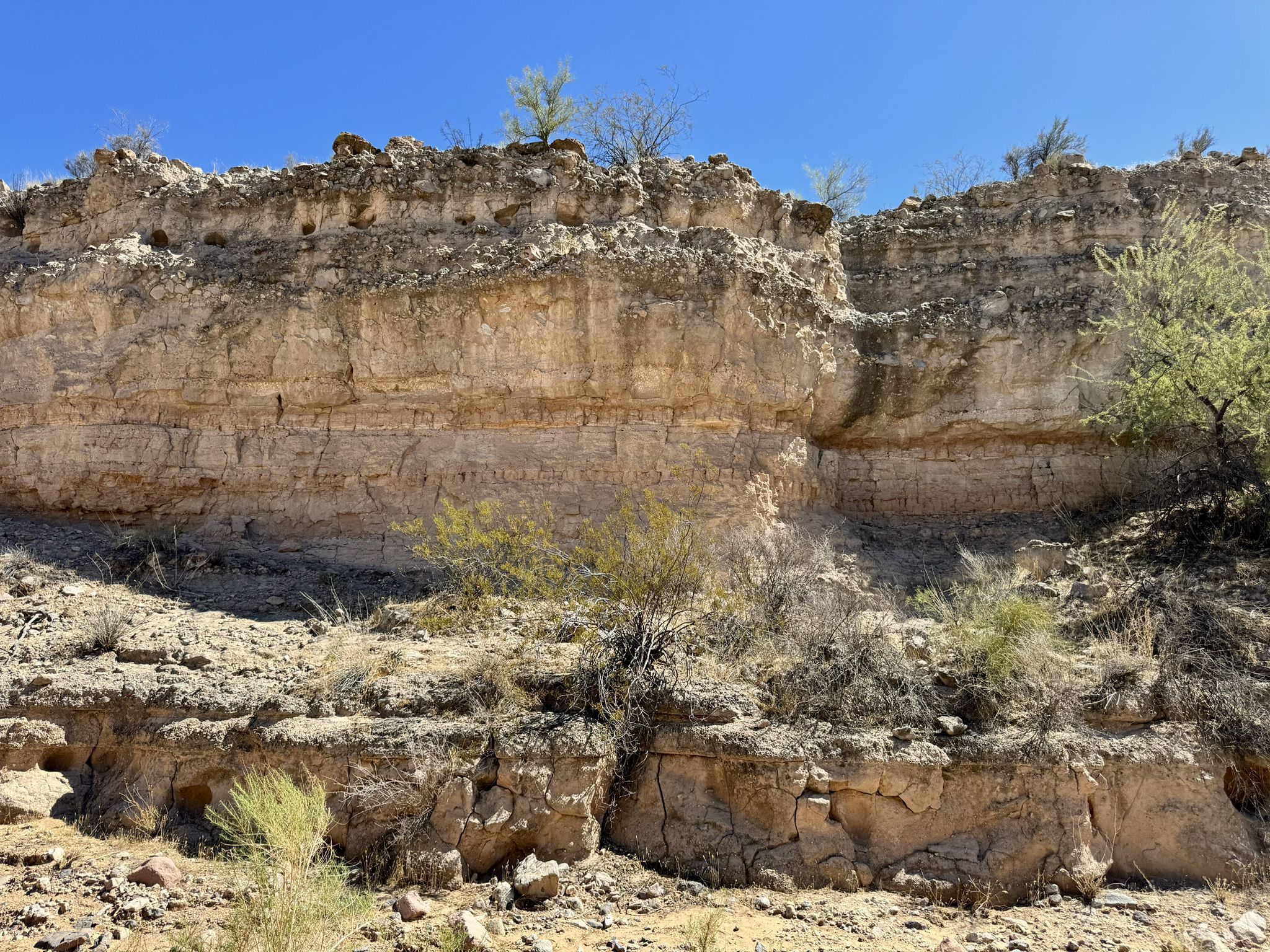 Close-up of a layered rock cliff with sparse desert vegetation under bright sun. - Kaiser Hot Springs Trail