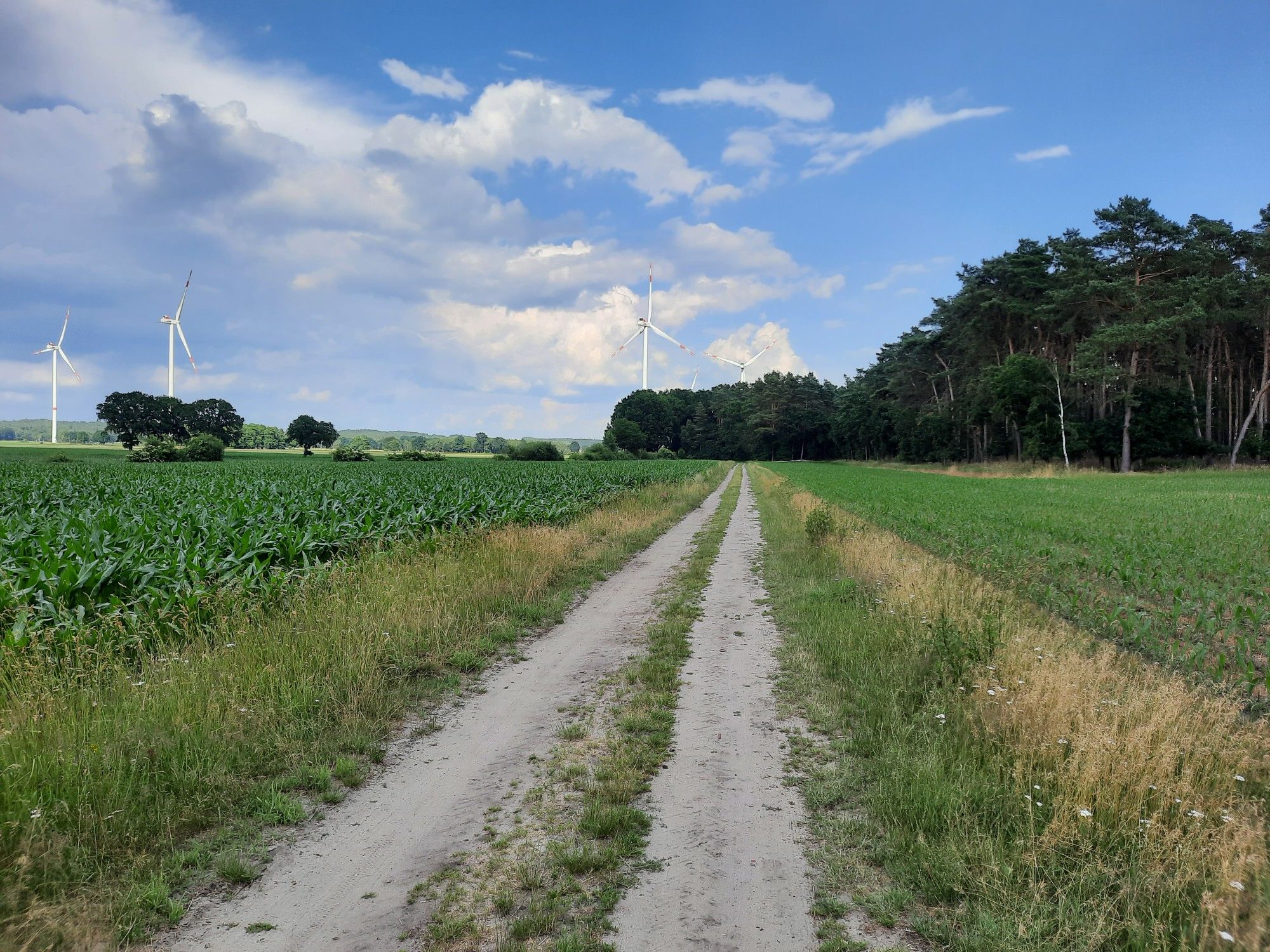 Schöner "Gravelweg"...