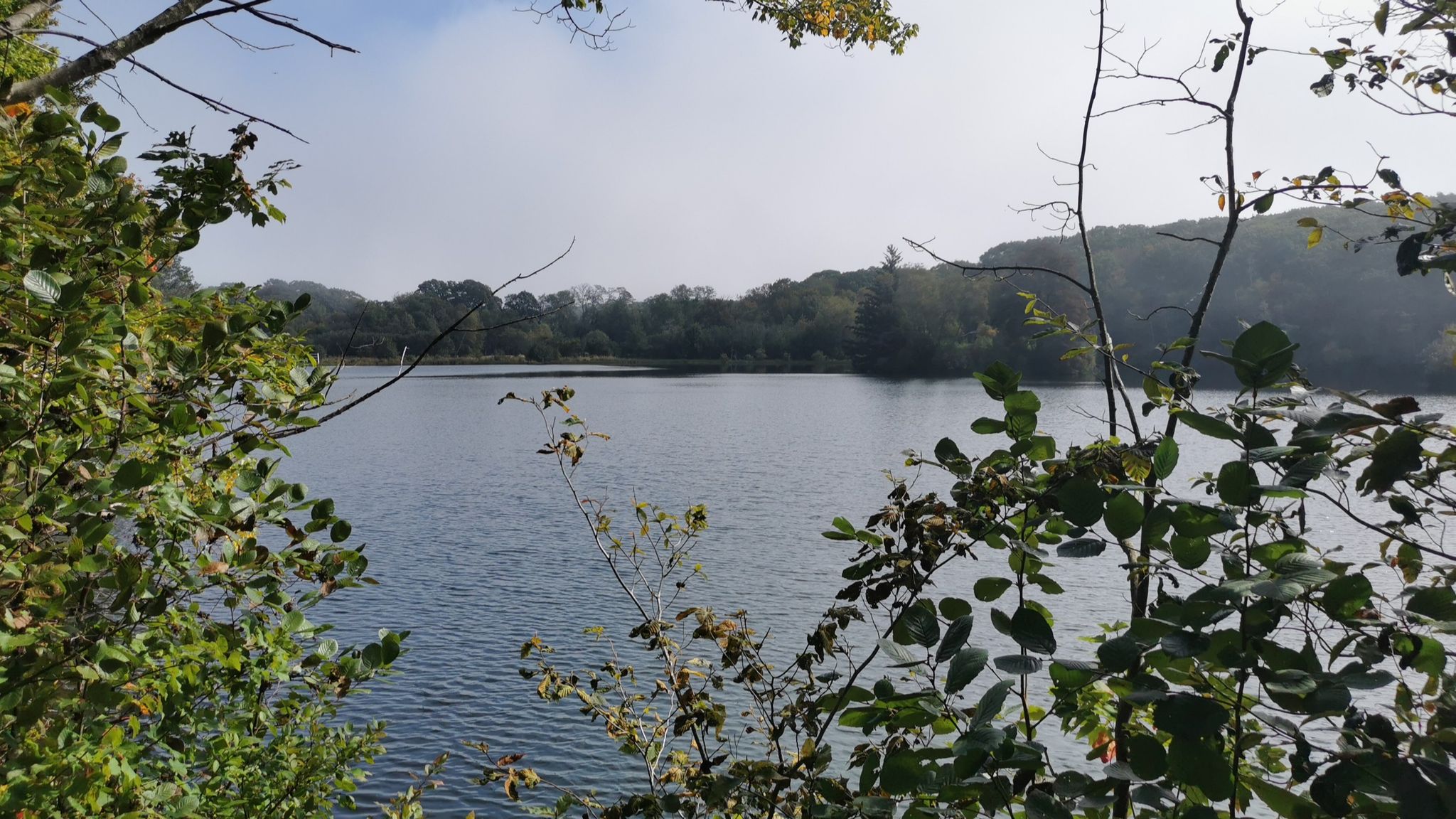 Calm lake framed by green foliage under an overcast sky. - South Woods loop
