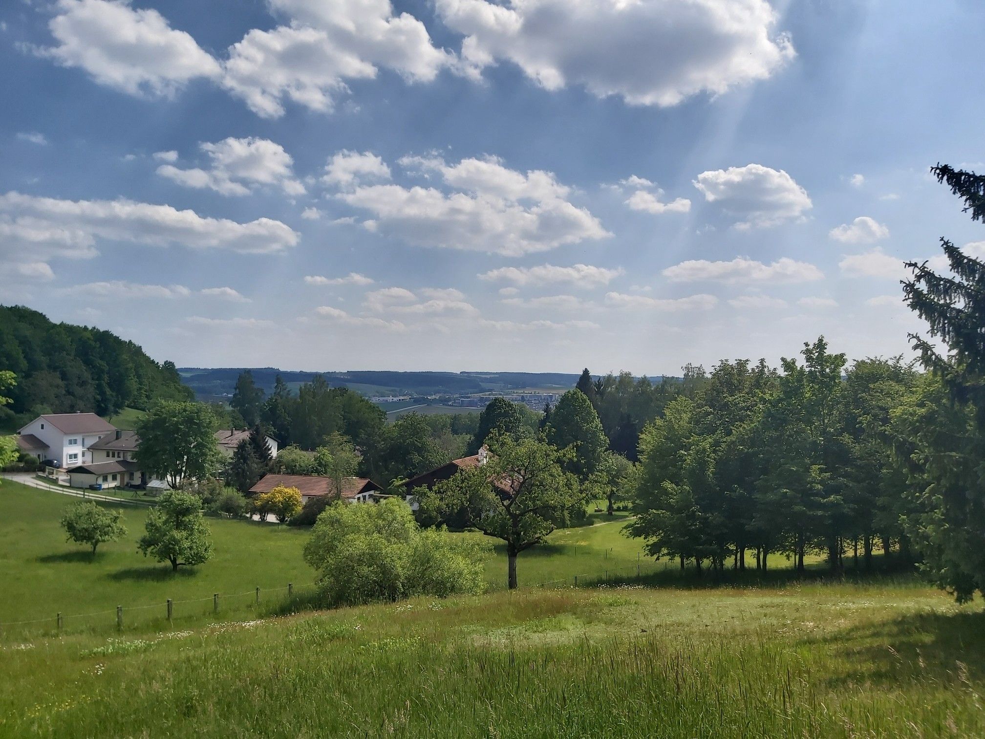 Aussicht am Reichenberg