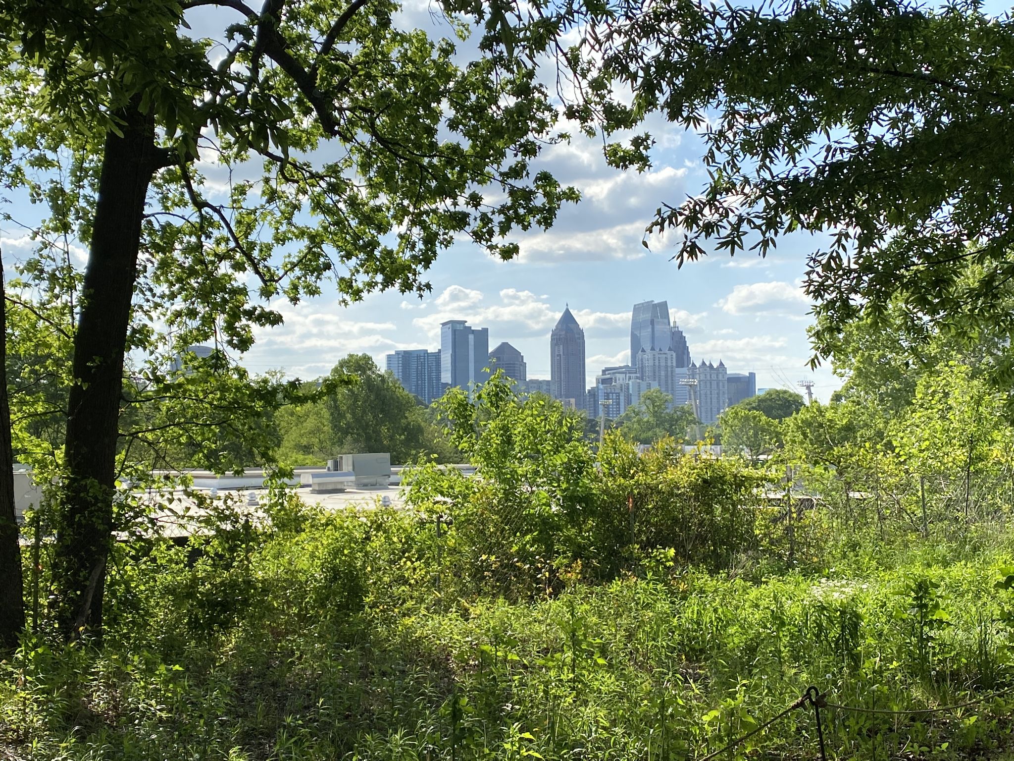 Bright city skyline visible through green trees and bushes on a sunny day. - Atlanta BeltLine – Ponce City Market loop from Zoo Atlanta