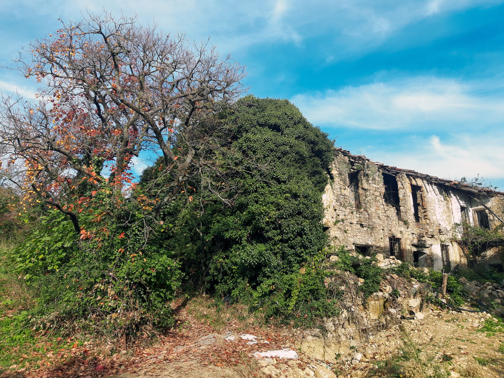Ronco di Gussago: ruderi della Tesa