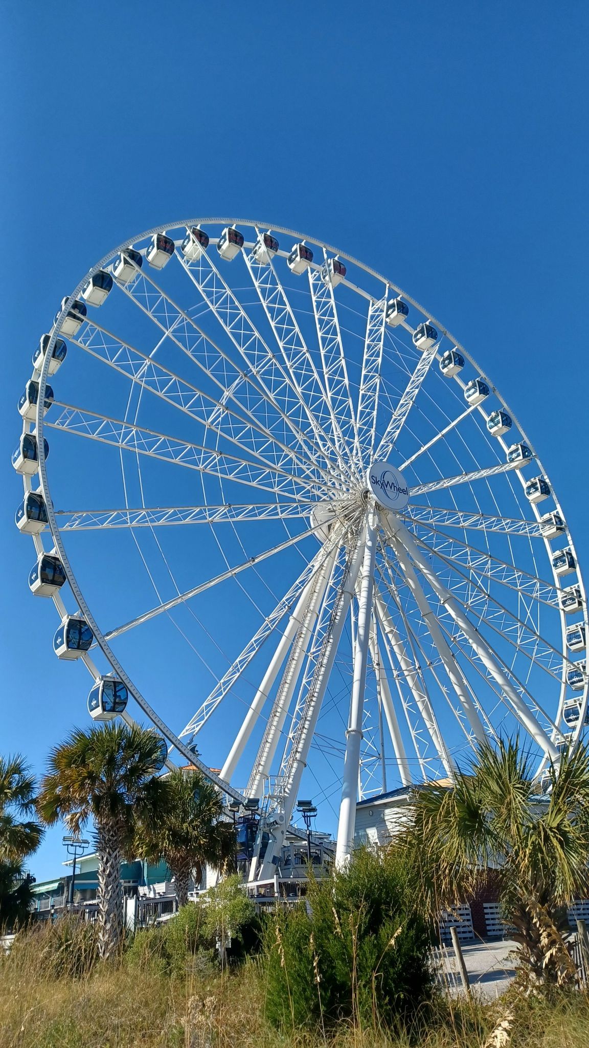 Giant white Ferris wheel stands tall against a clear blue sky. - Springmaid Pier – Myrtle Beach loop from Bridgeport Ph 1 Pump Station